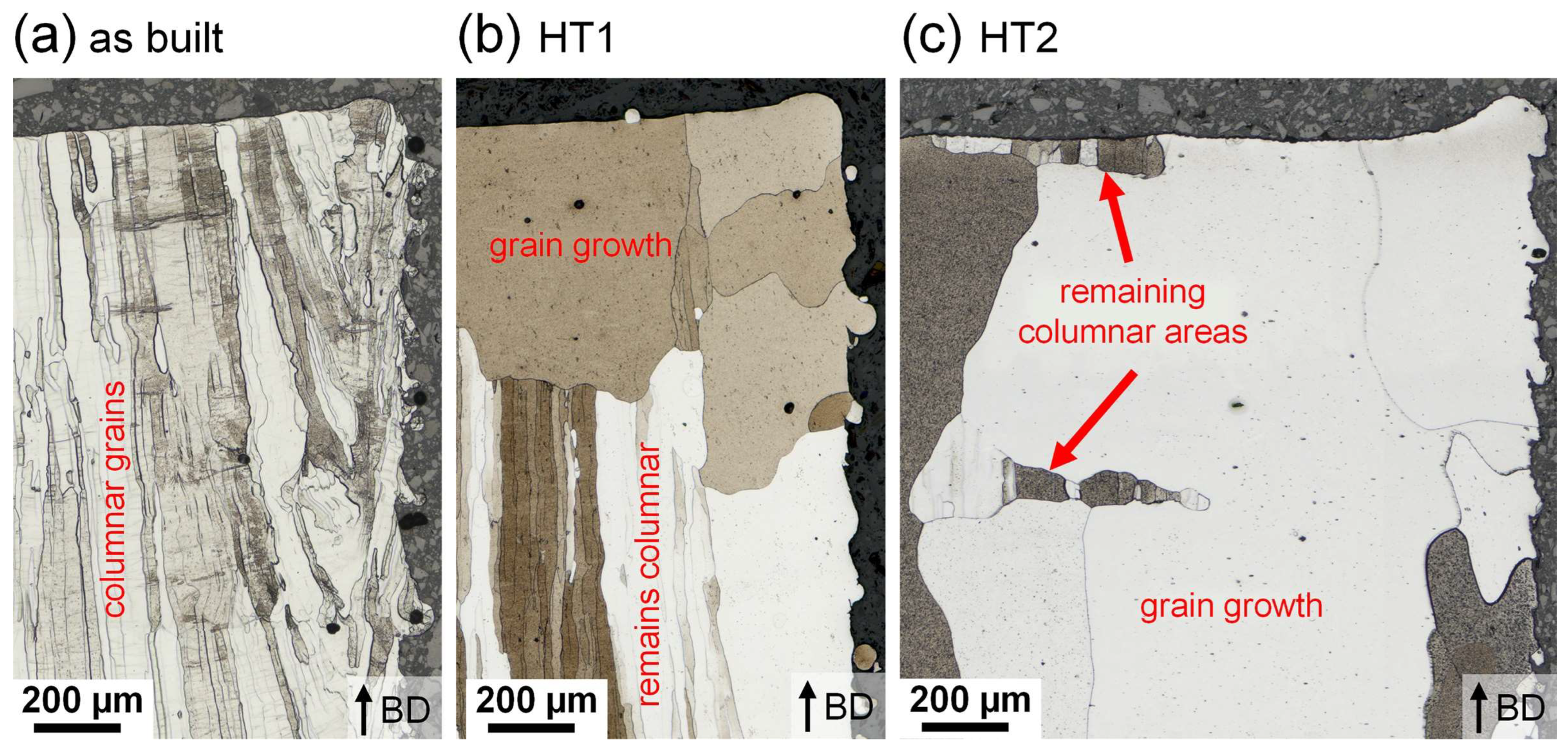 Metals 14 00117 g012