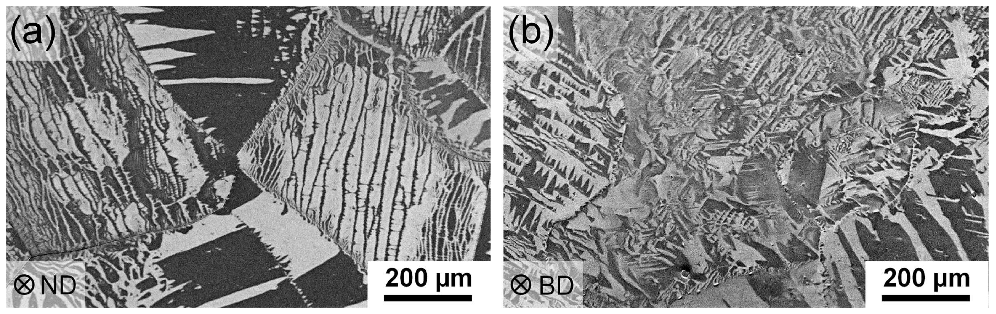 Metals 14 00117 g013
