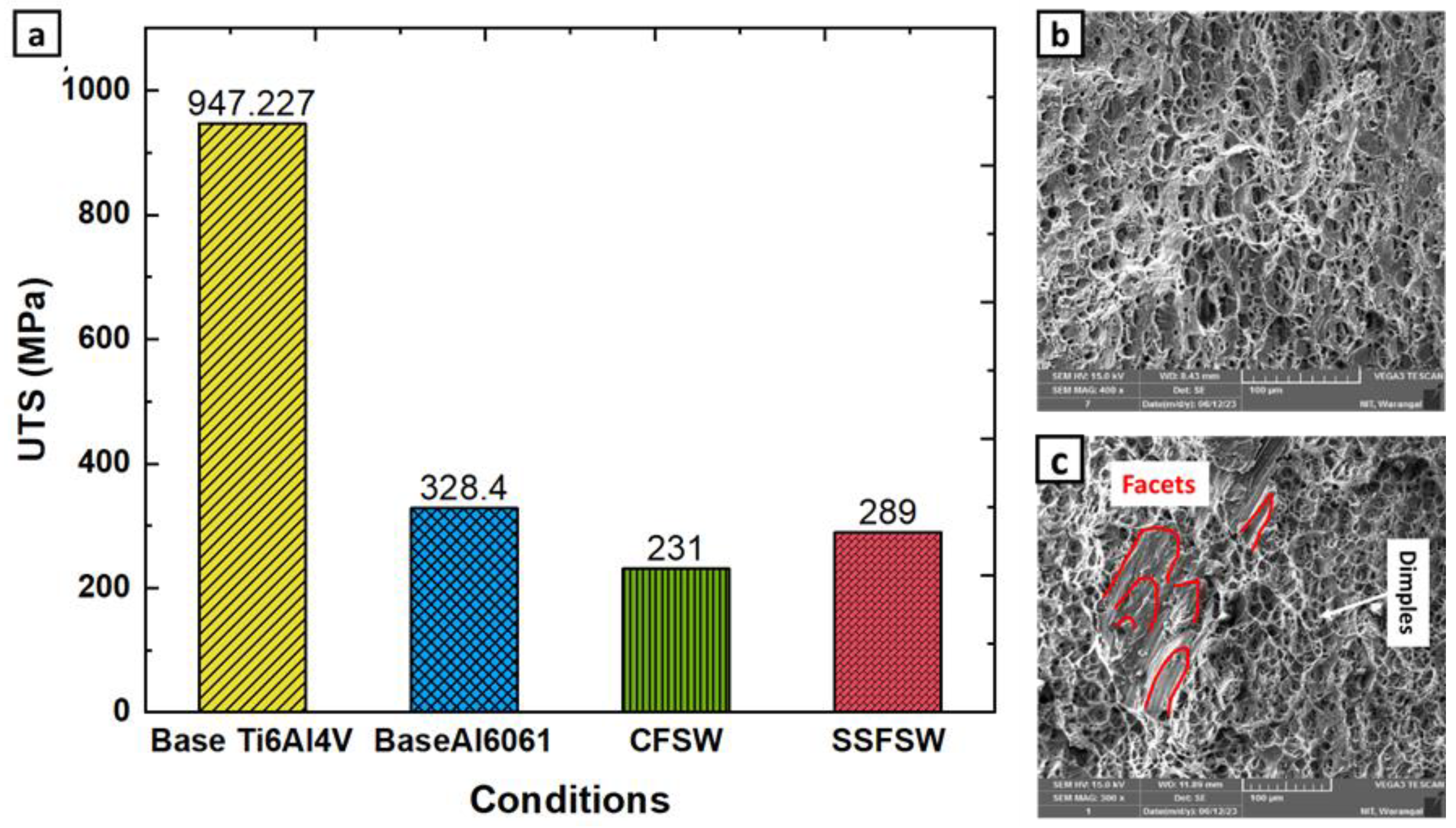 Metals 14 00128 g010