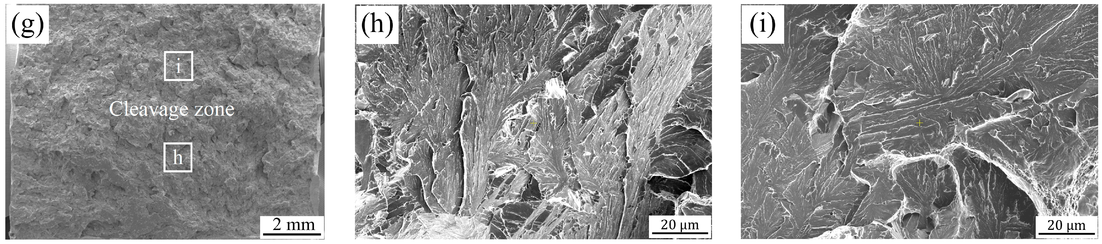 Metals 14 00129 g005b