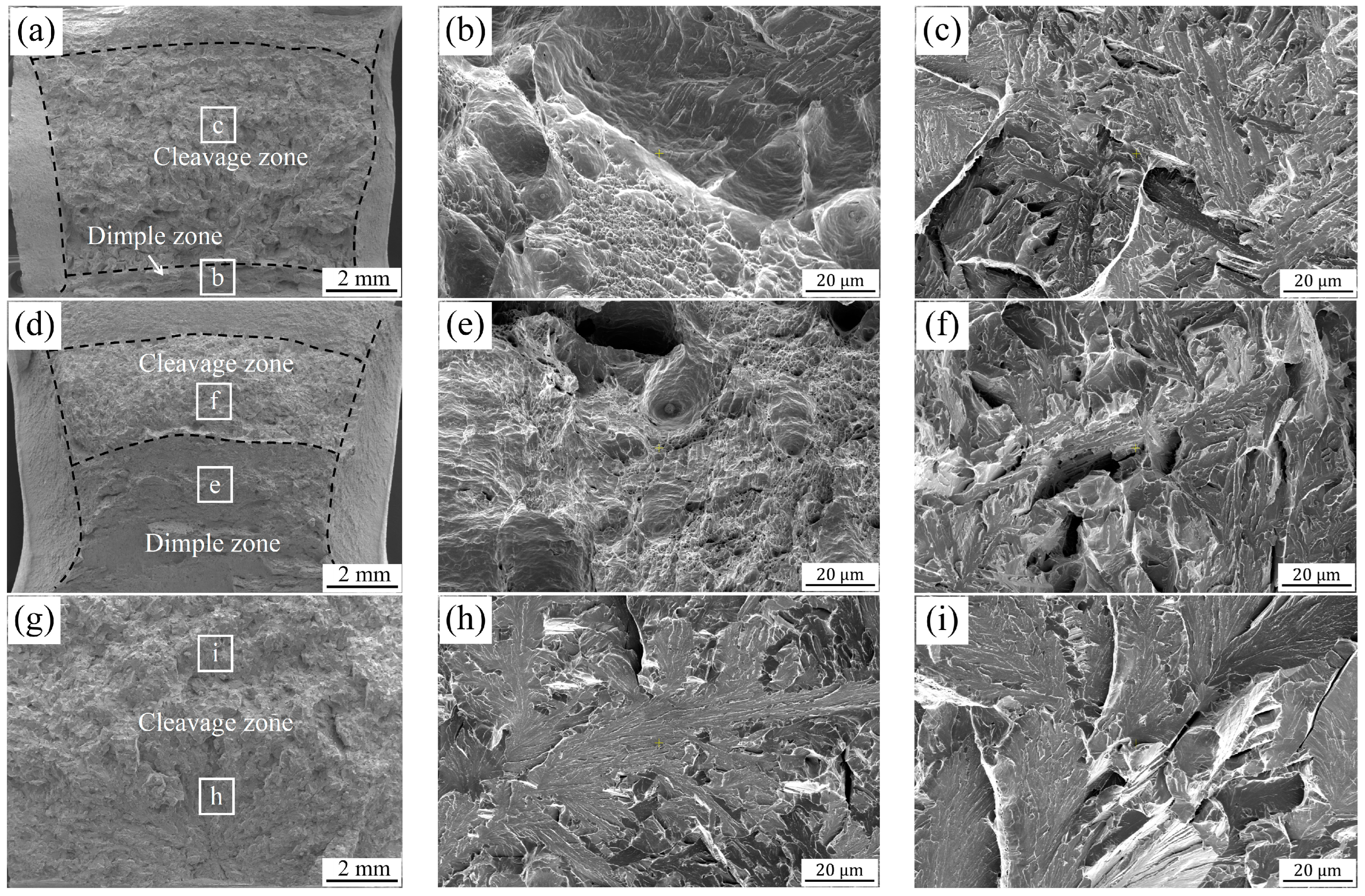 Metals 14 00129 g006