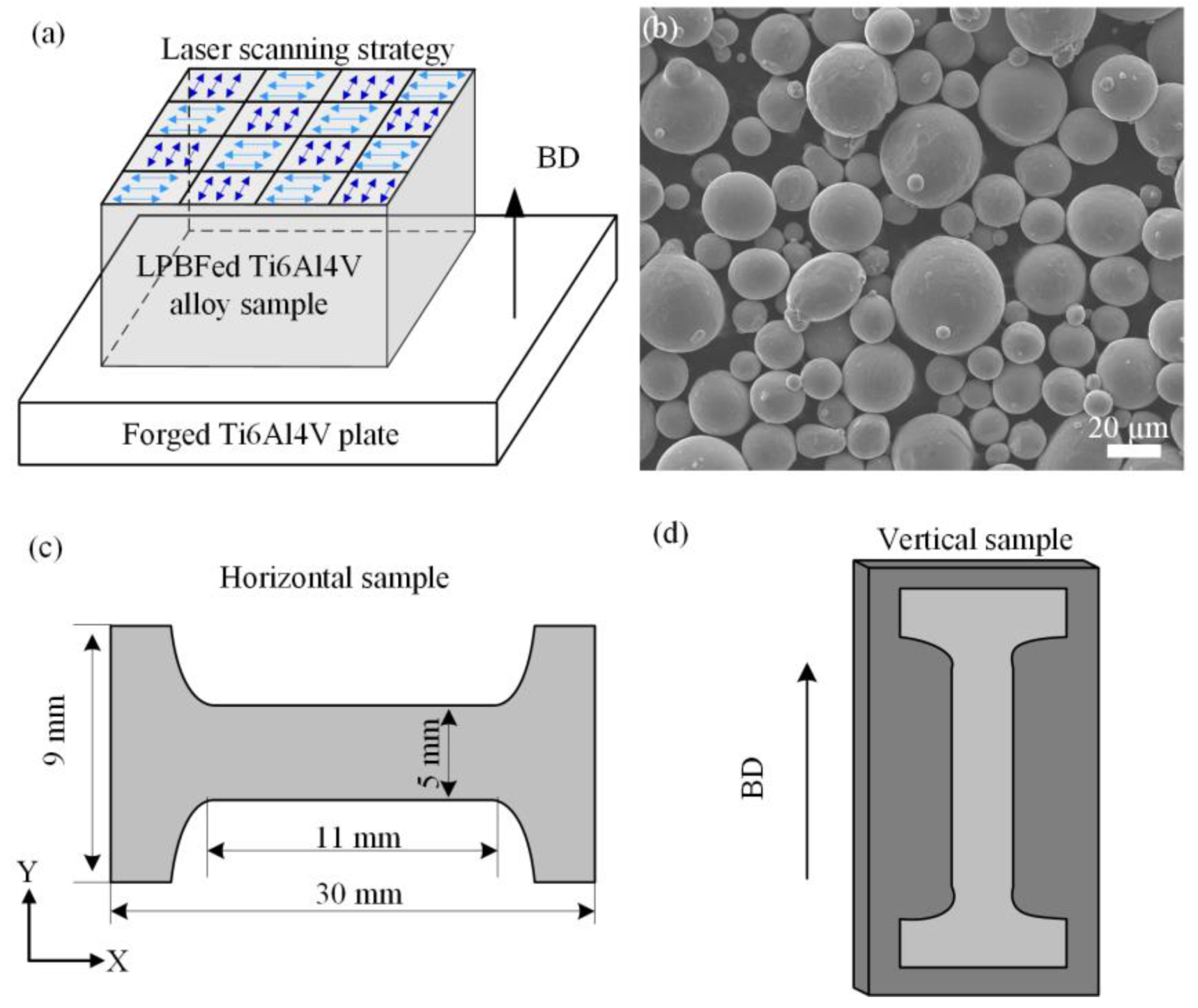 Metals 14 00130 g001