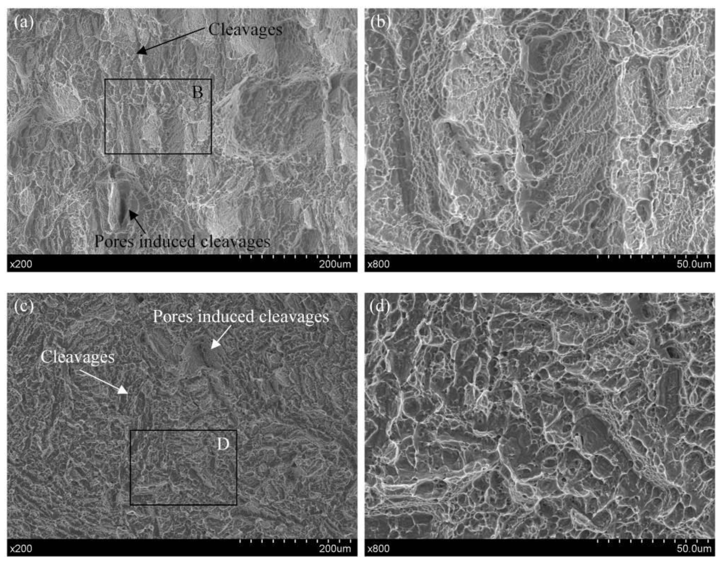 Metals 14 00130 g008