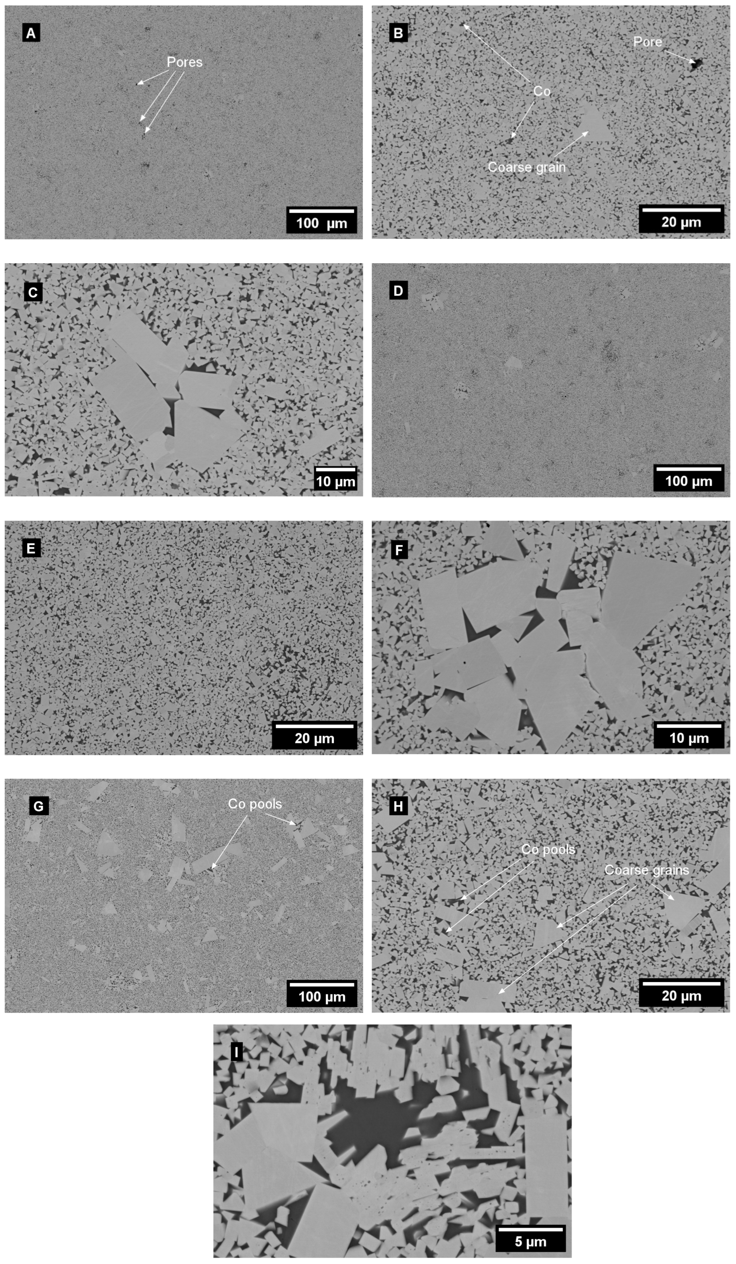 Metals 14 00132 g003