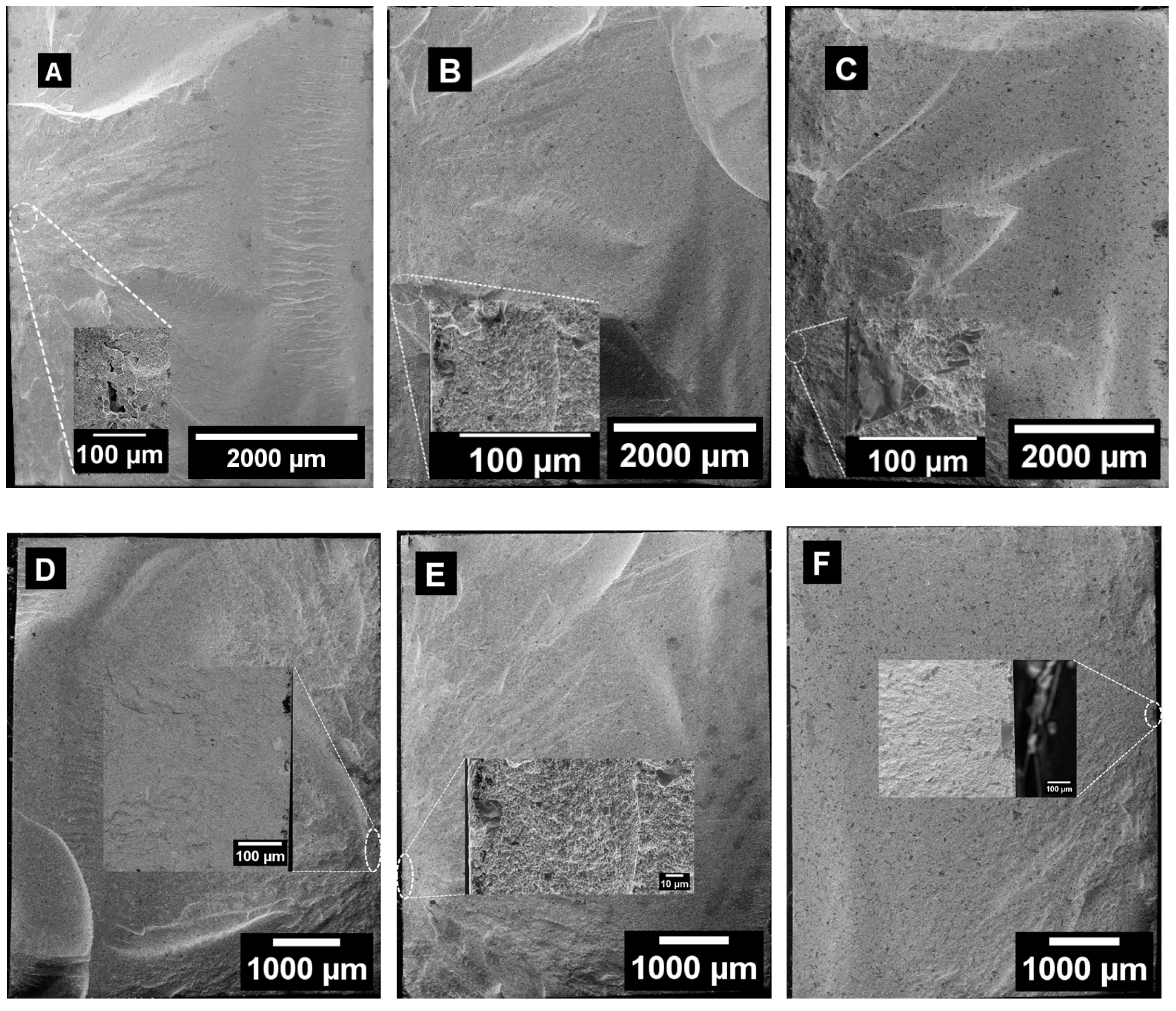 Metals 14 00132 g007