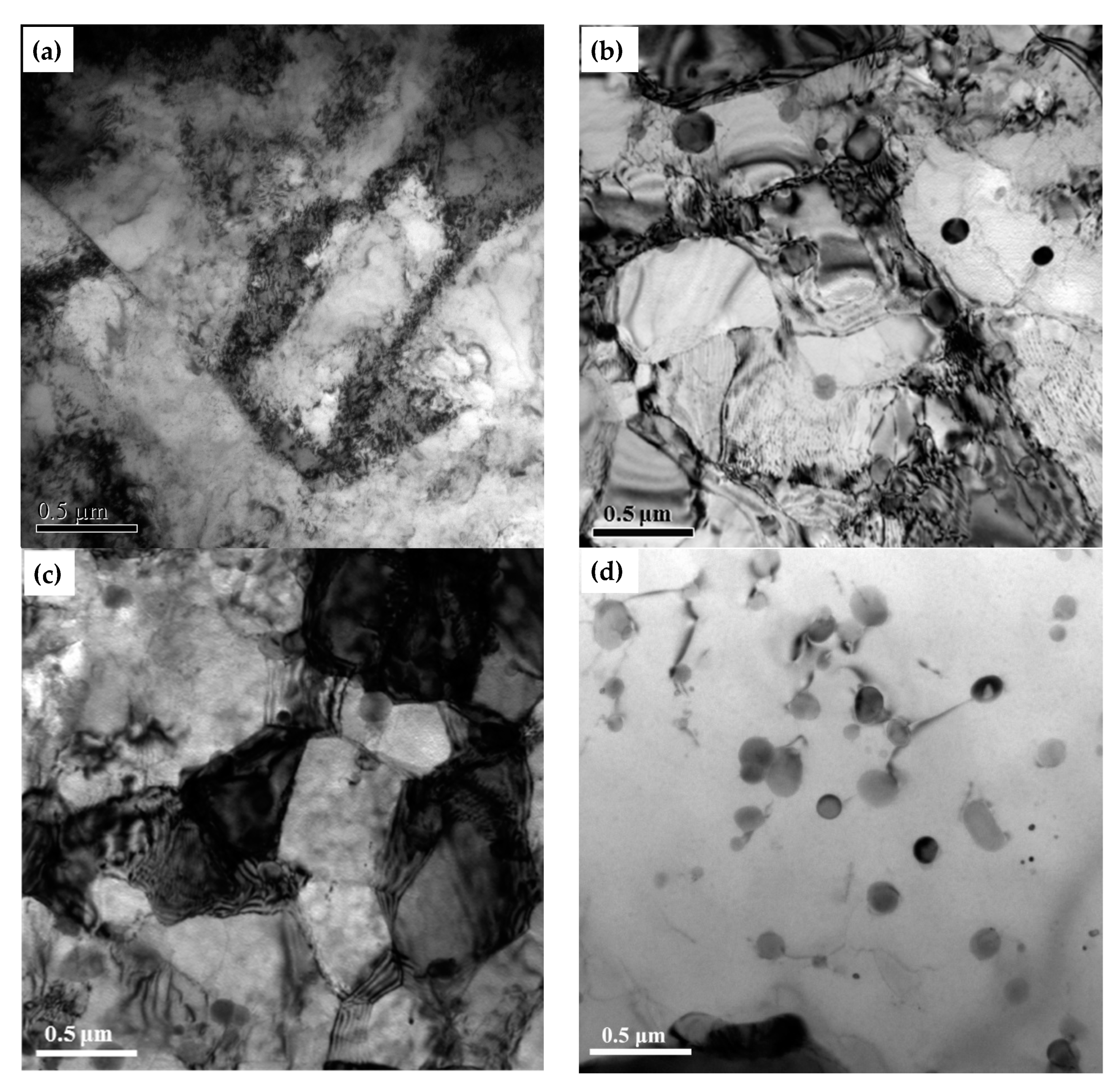 Metals 14 00142 g009