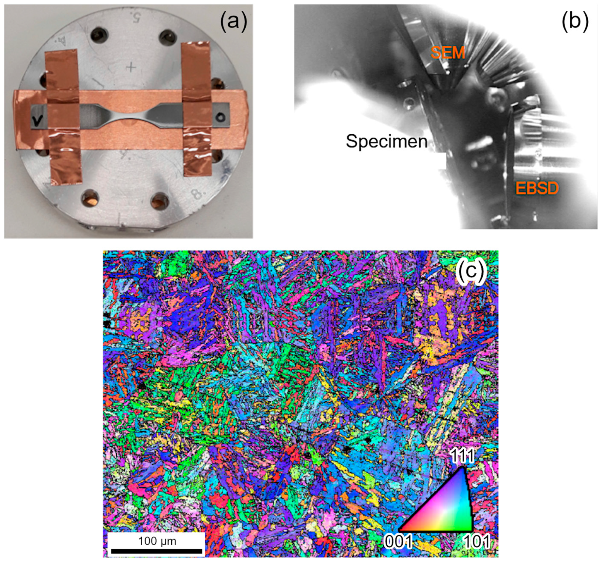 Metals 14 00154 g016
