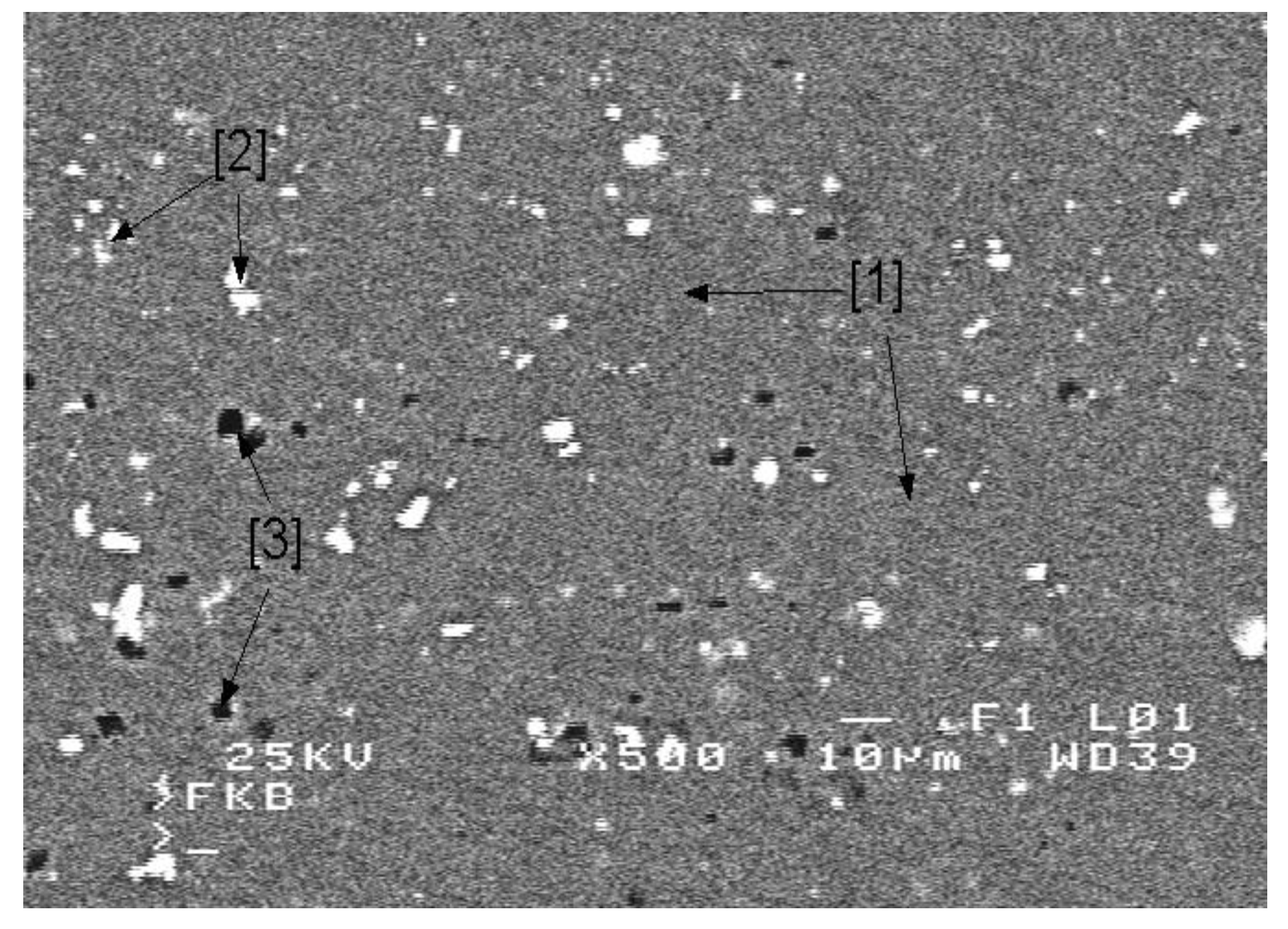 Metals 14 00159 g003