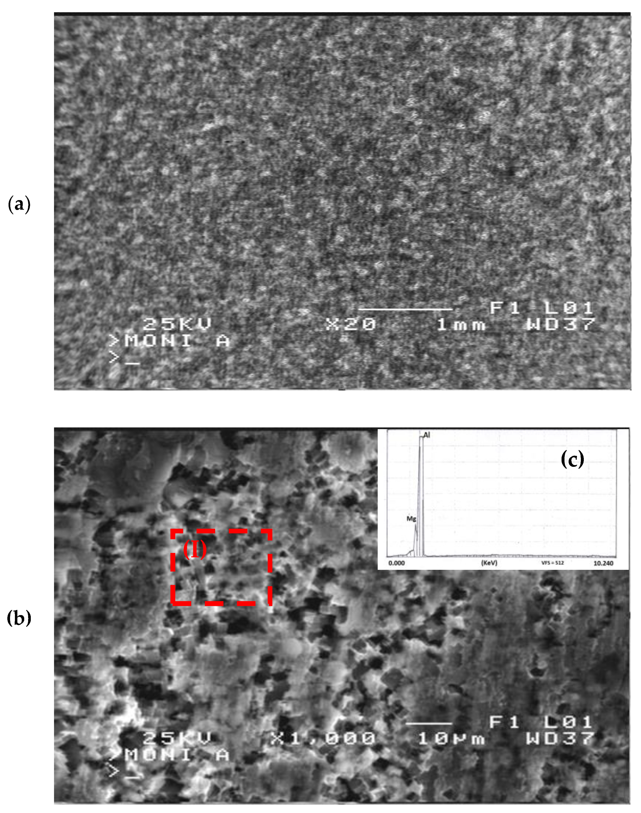 Metals 14 00159 g010