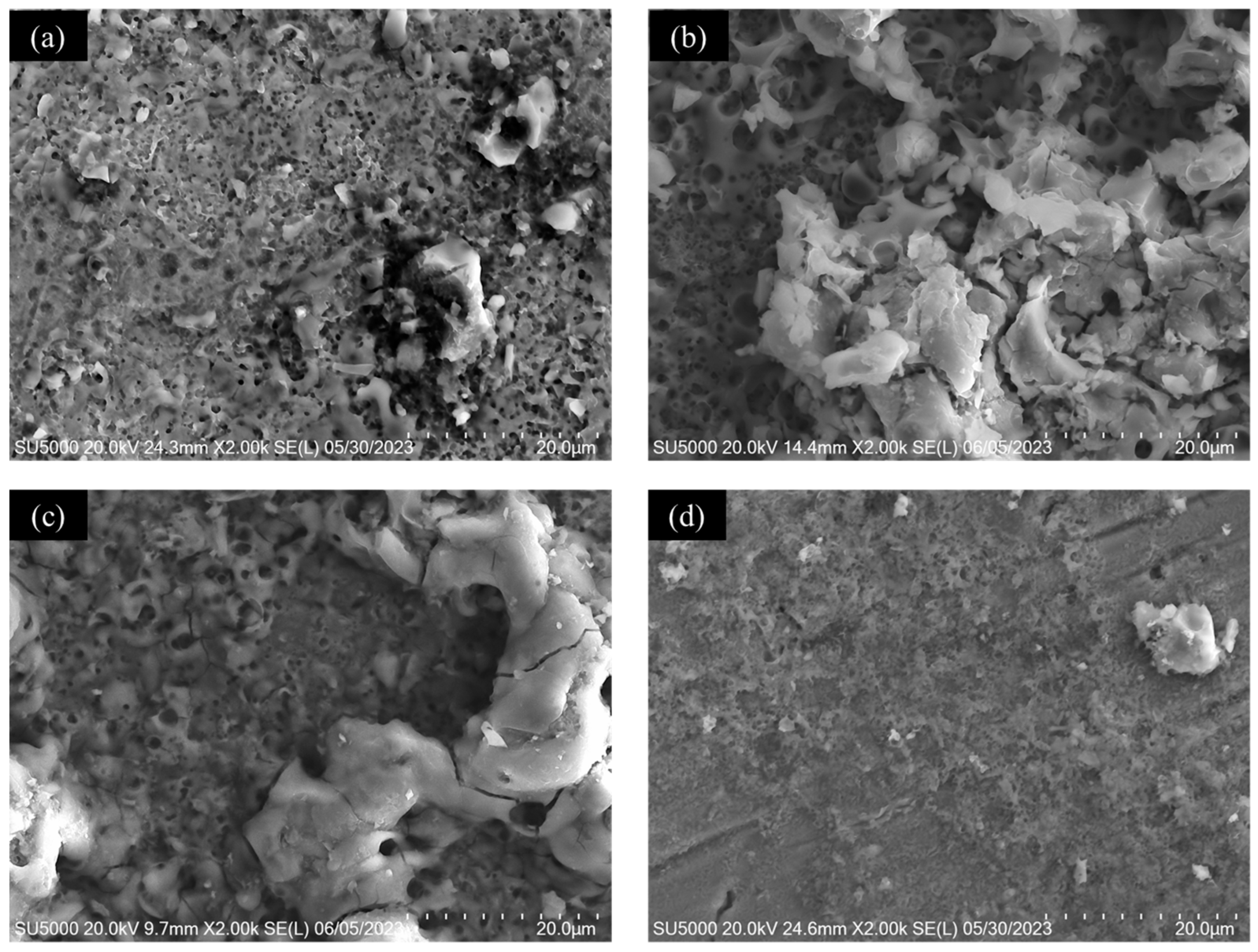 Metals | Free Full-Text | Corrosion Behavior of Titanium Alloys