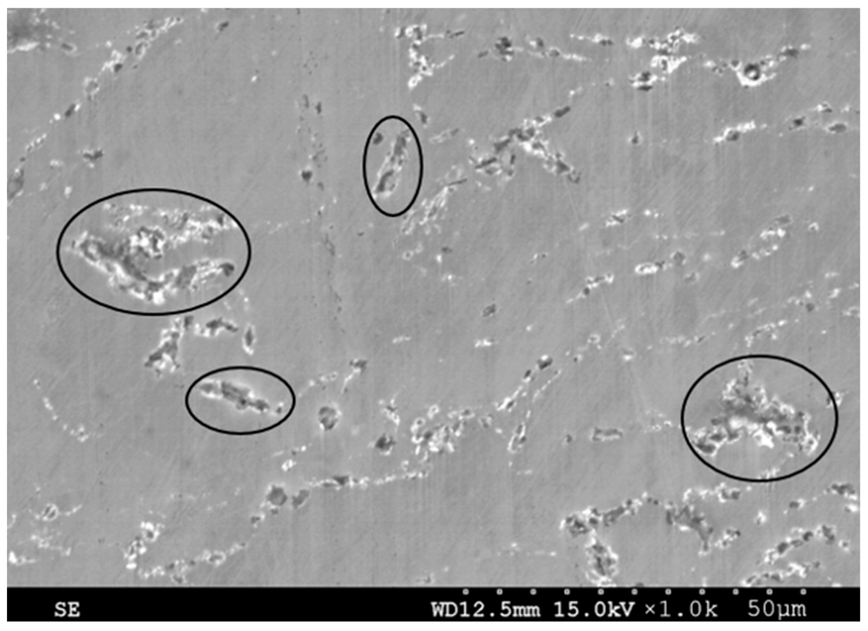 Metals 14 00163 g004