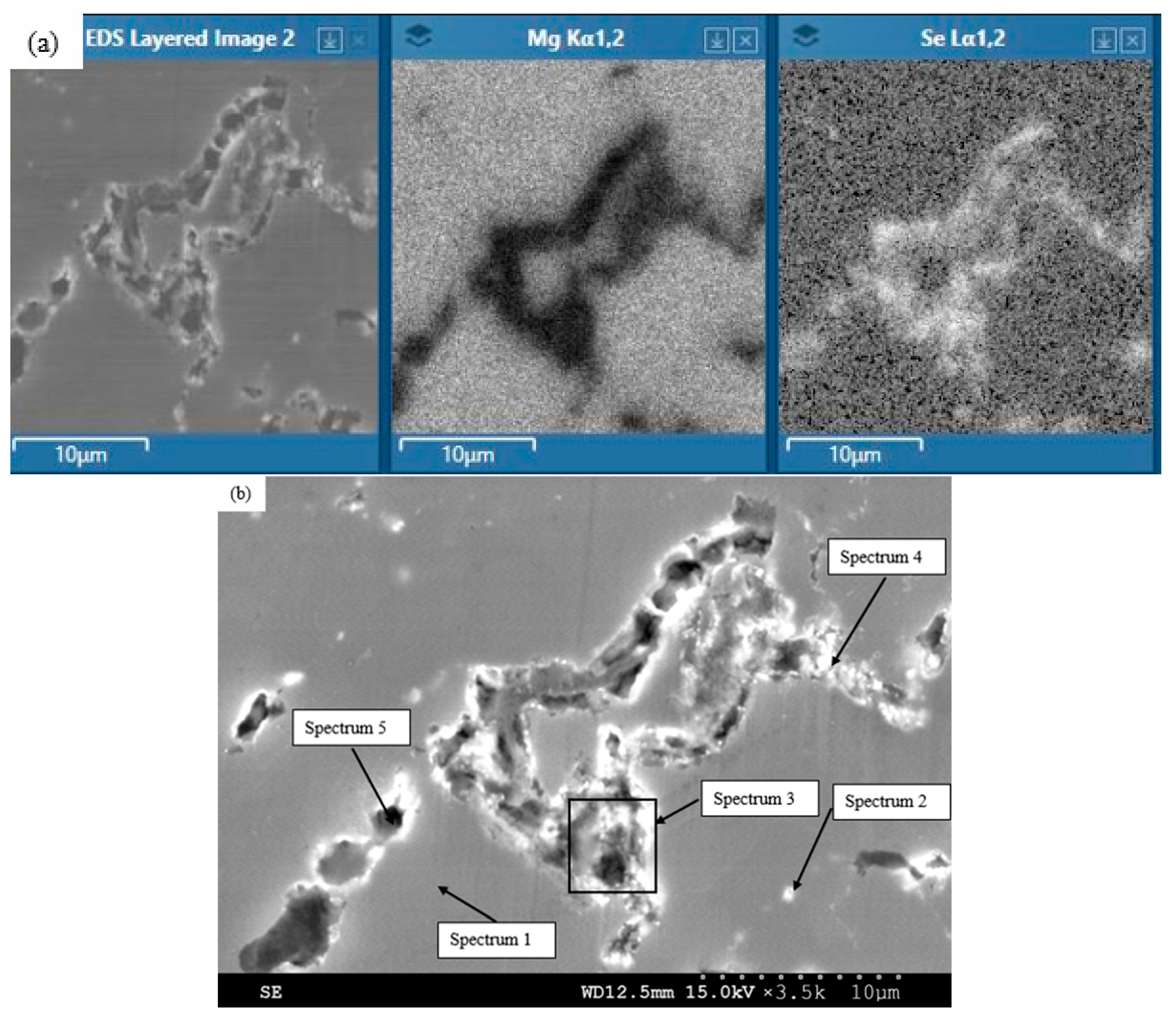 Metals 14 00163 g005