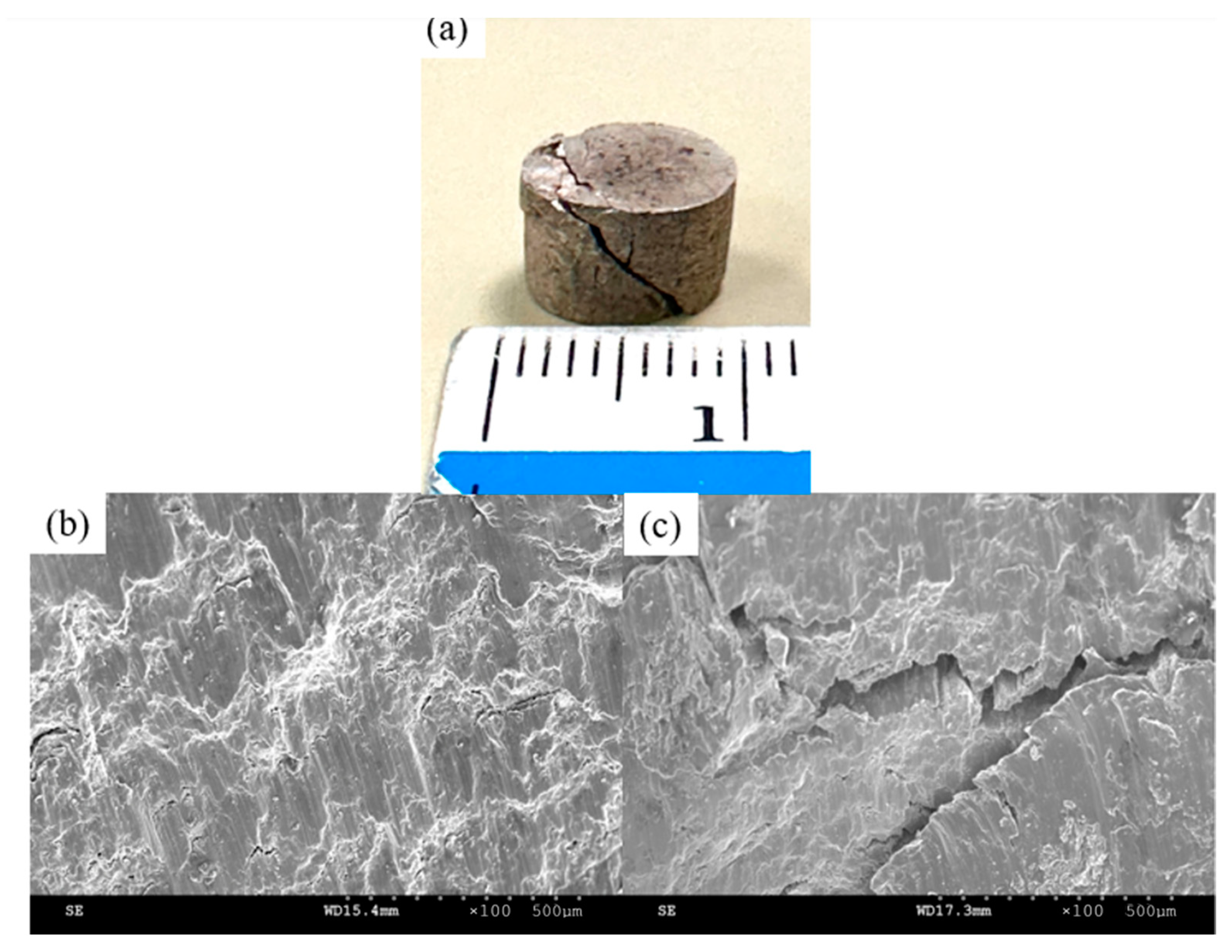 Metals 14 00163 g010