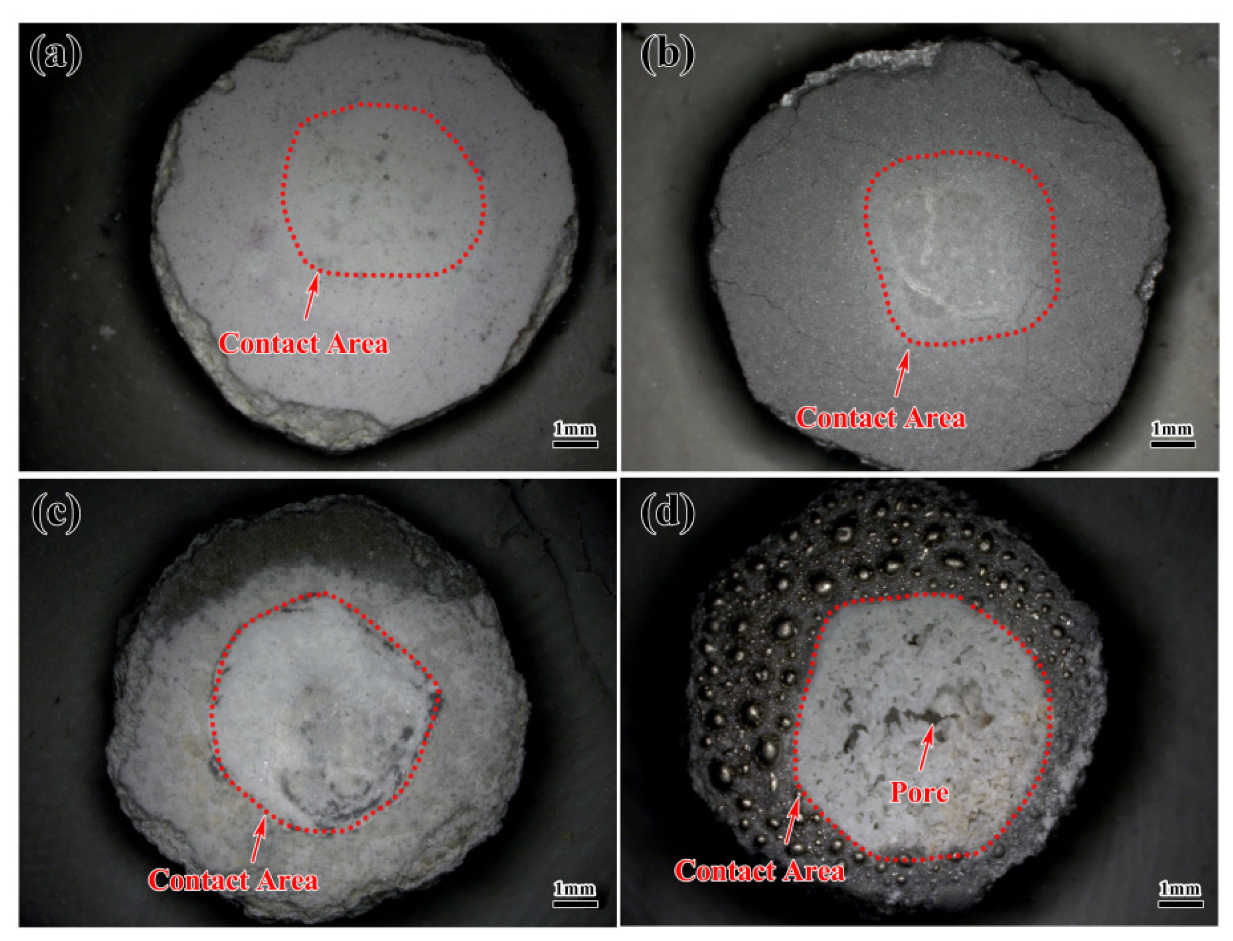 Metals 14 00164 g004