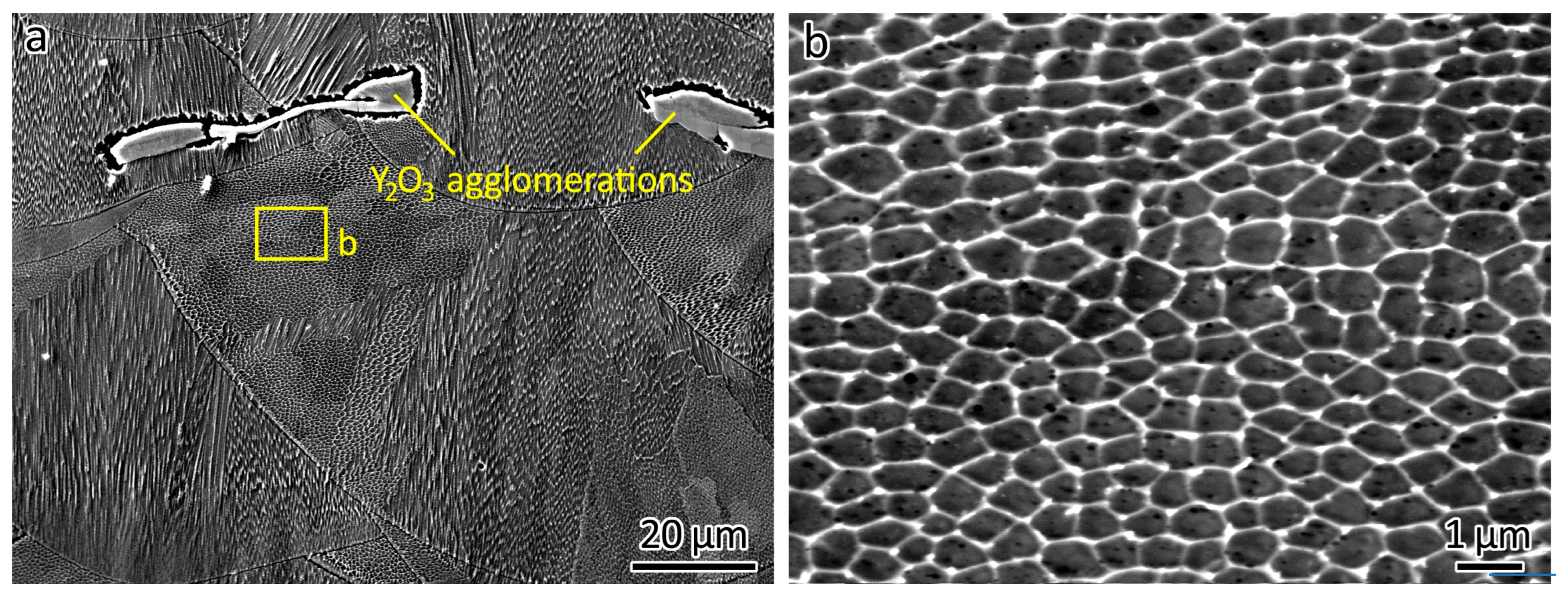 Metals 14 00170 g005