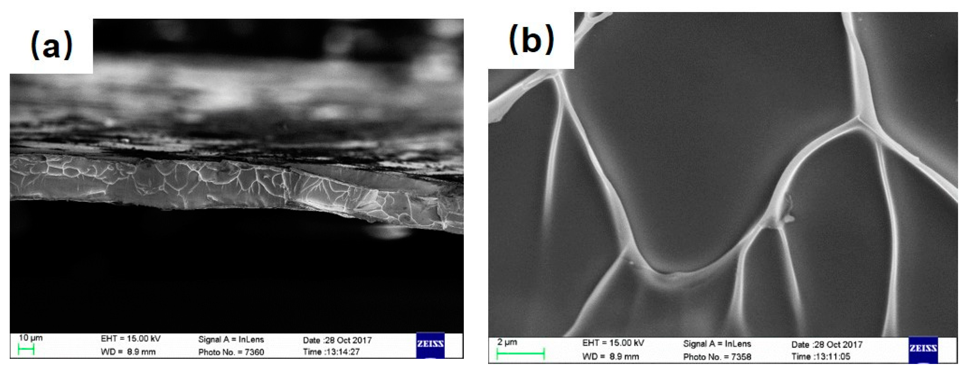 Metals 14 00220 g006