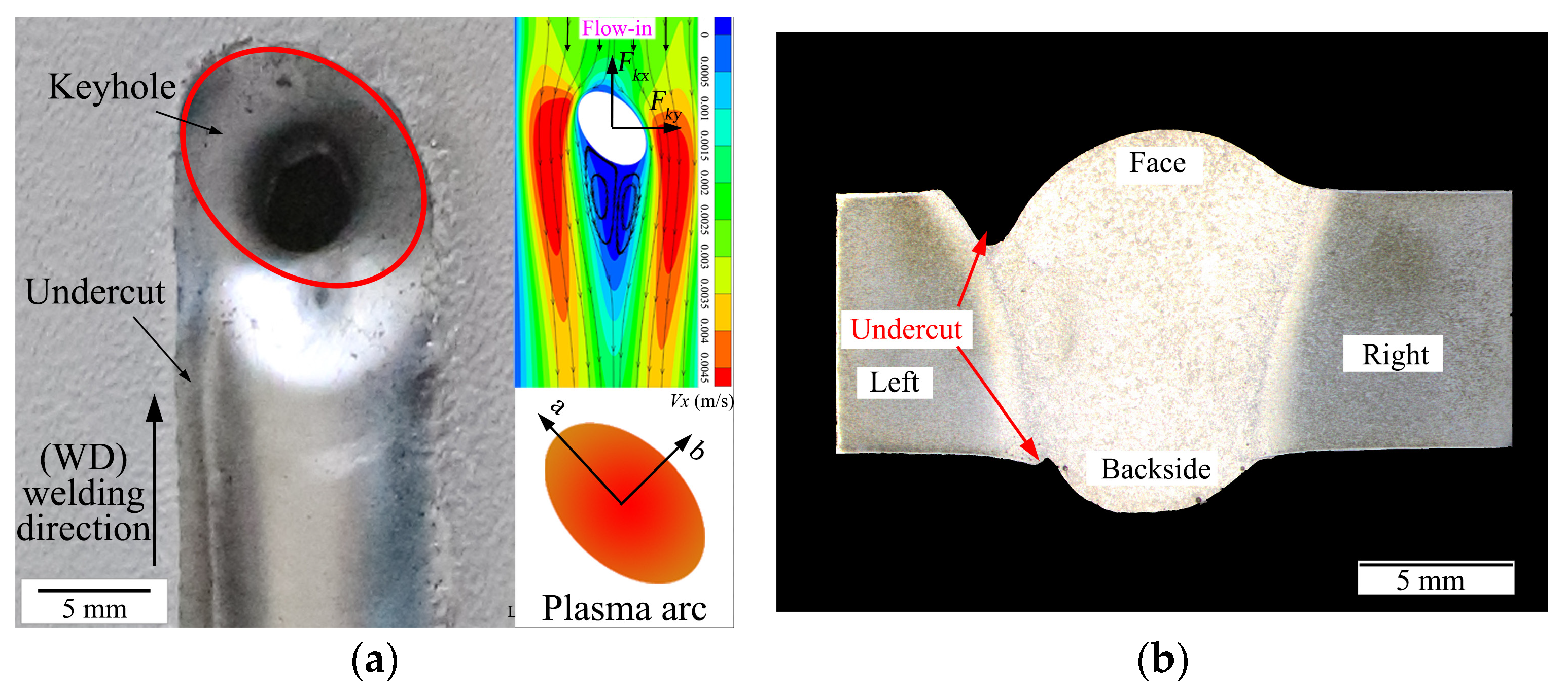 Metals 14 00231 g014