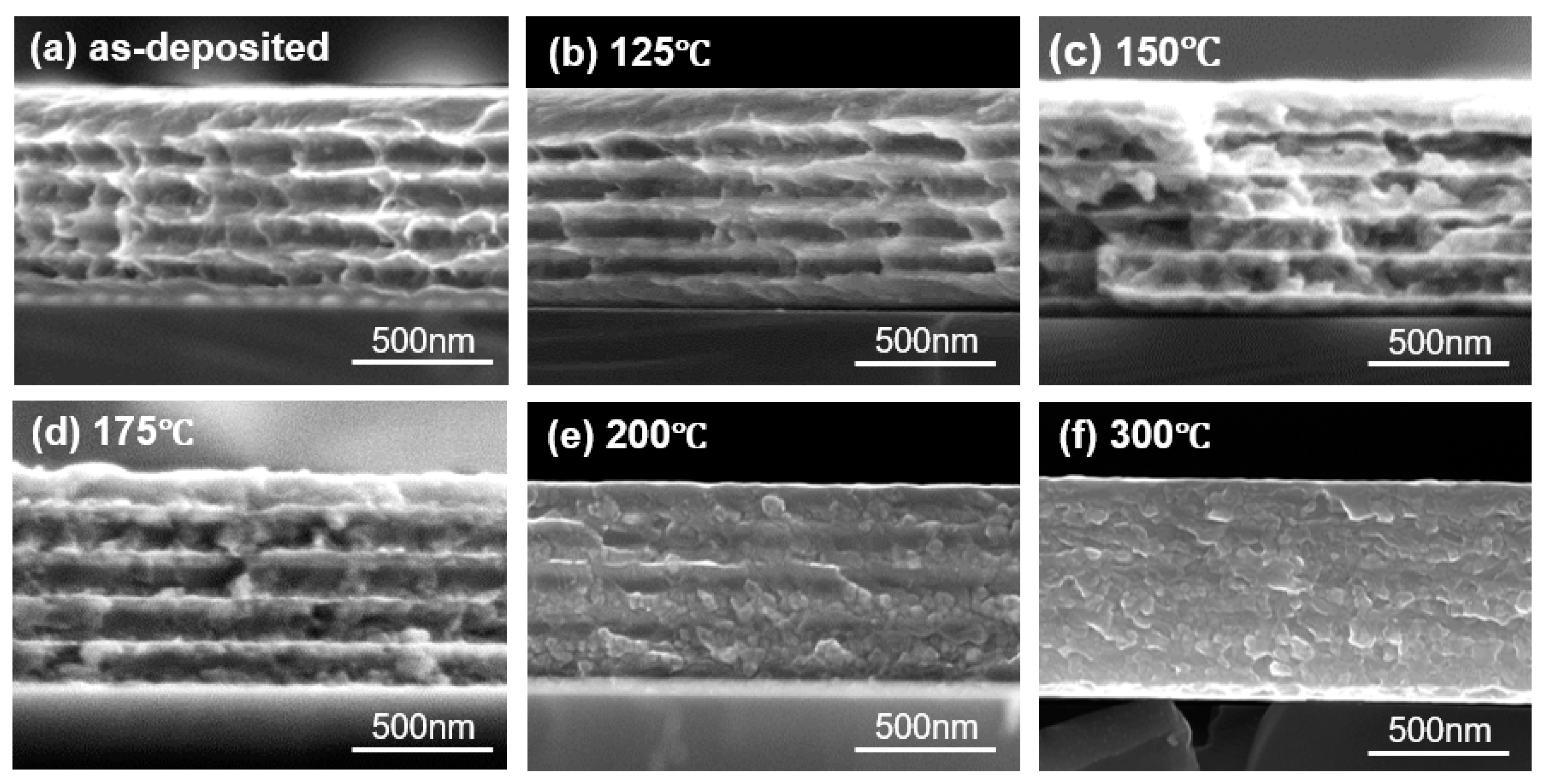 Metals 14 00256 g007