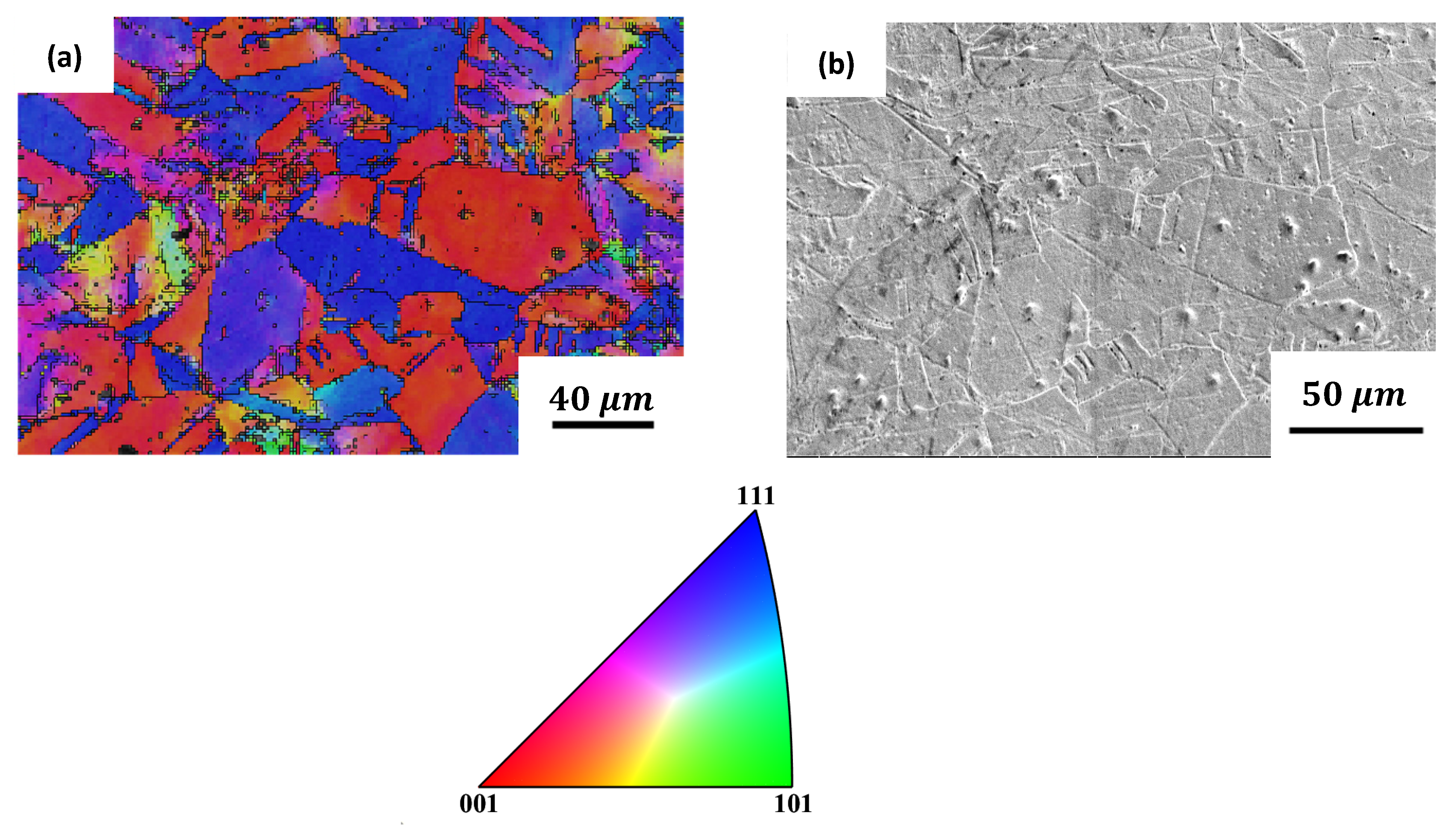 Metals 14 00260 g005