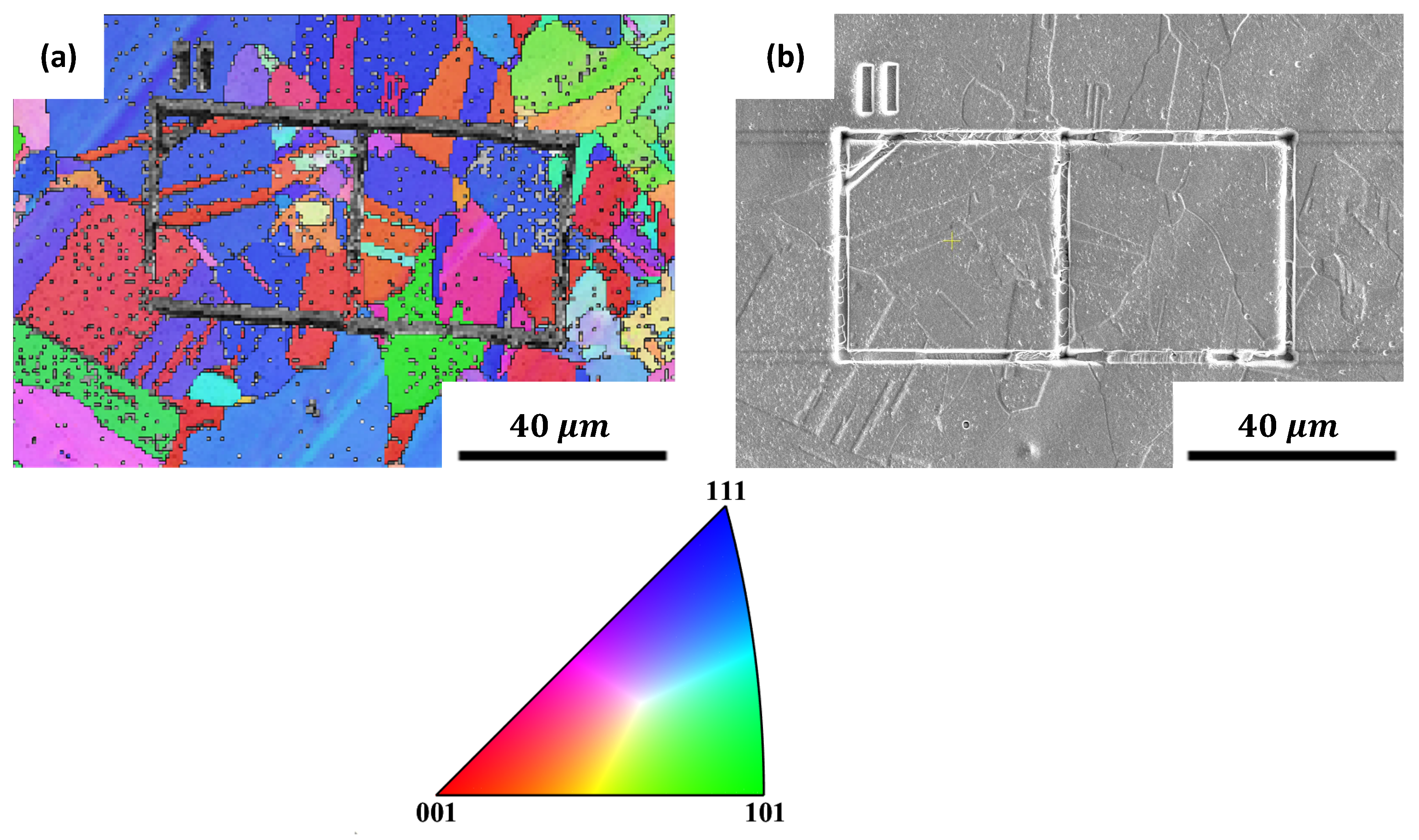 Metals 14 00260 g006