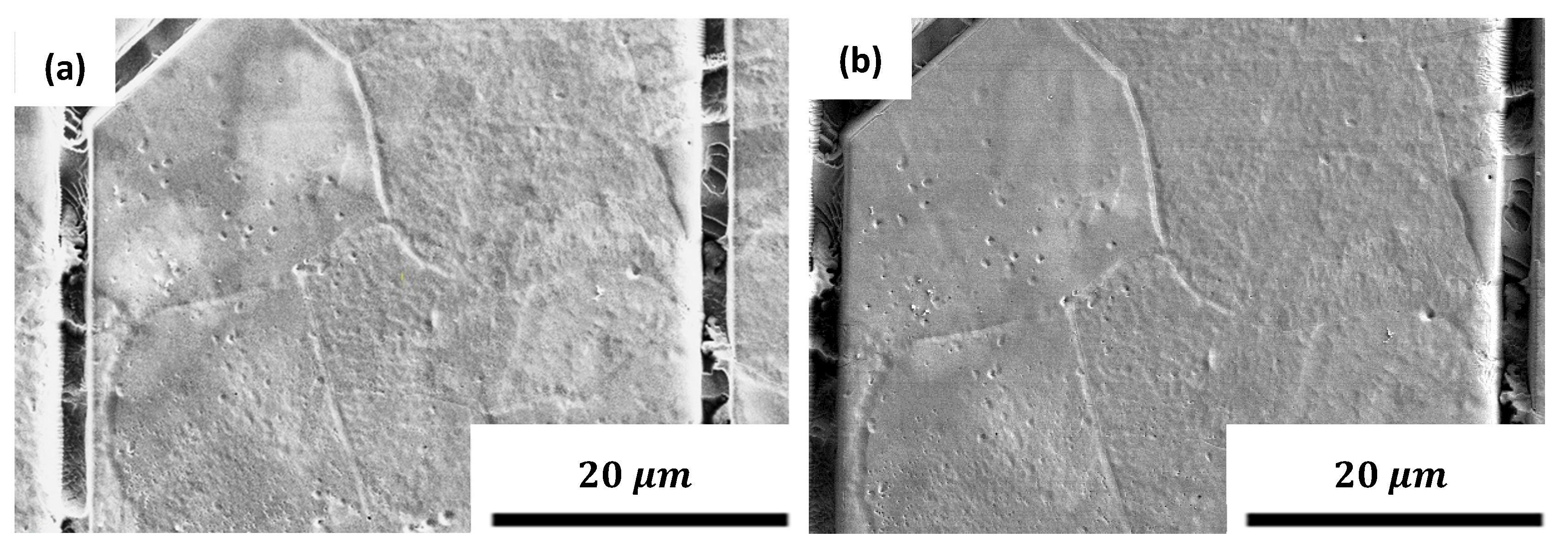 Metals 14 00260 g007