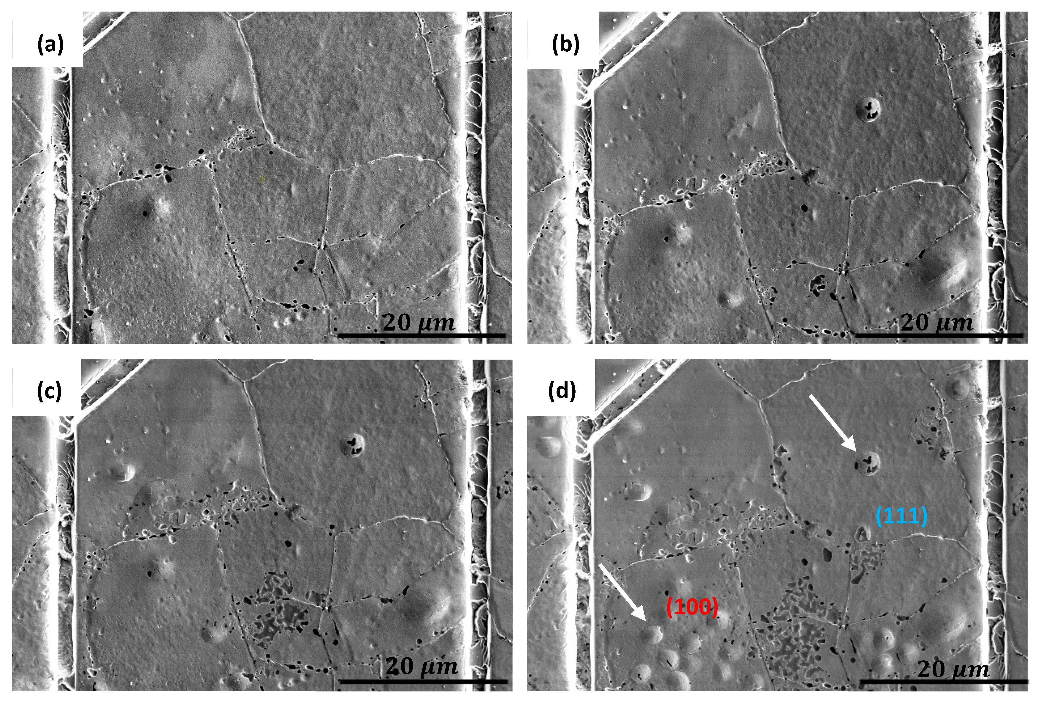 Metals 14 00260 g009