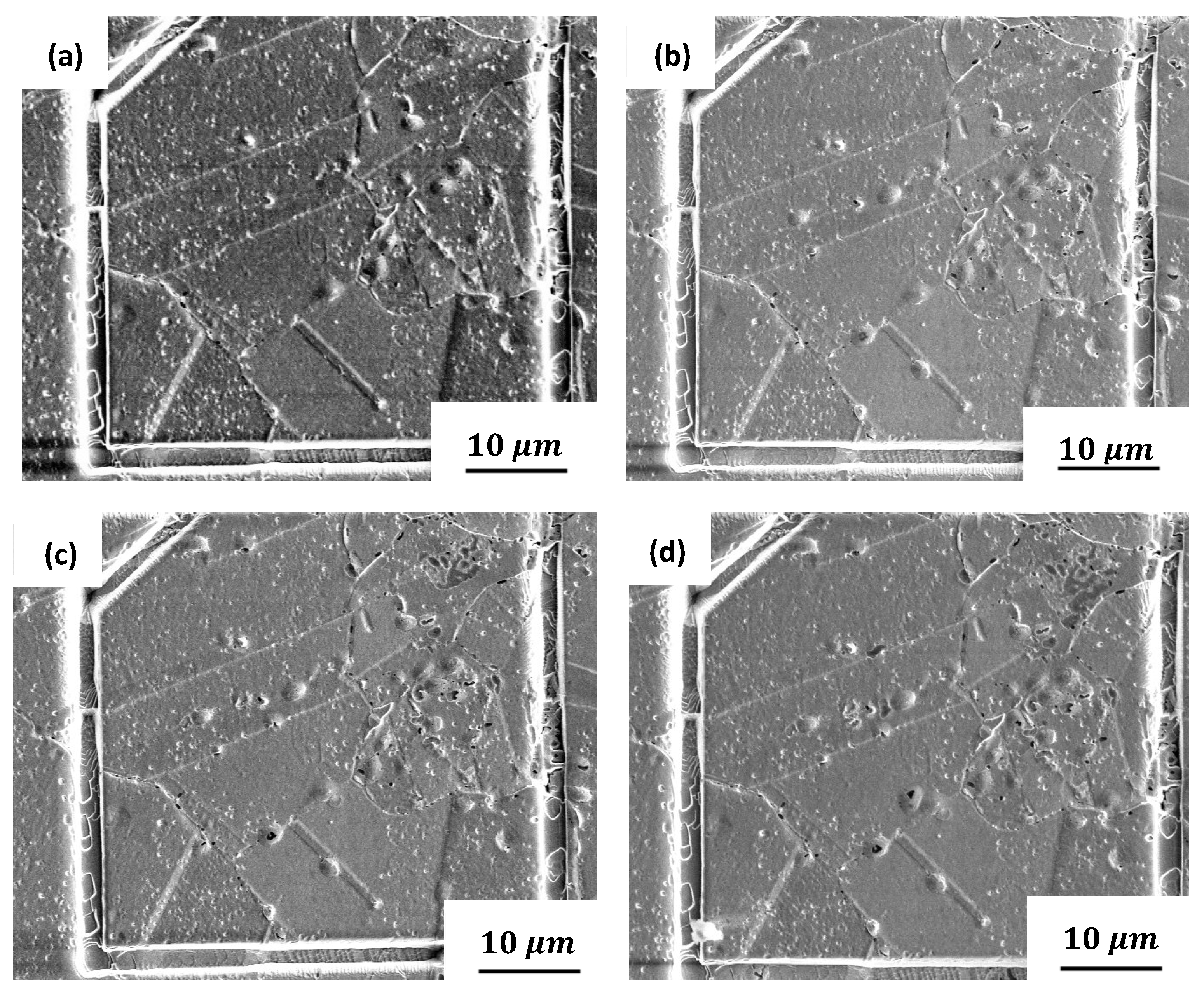 Metals 14 00260 g010