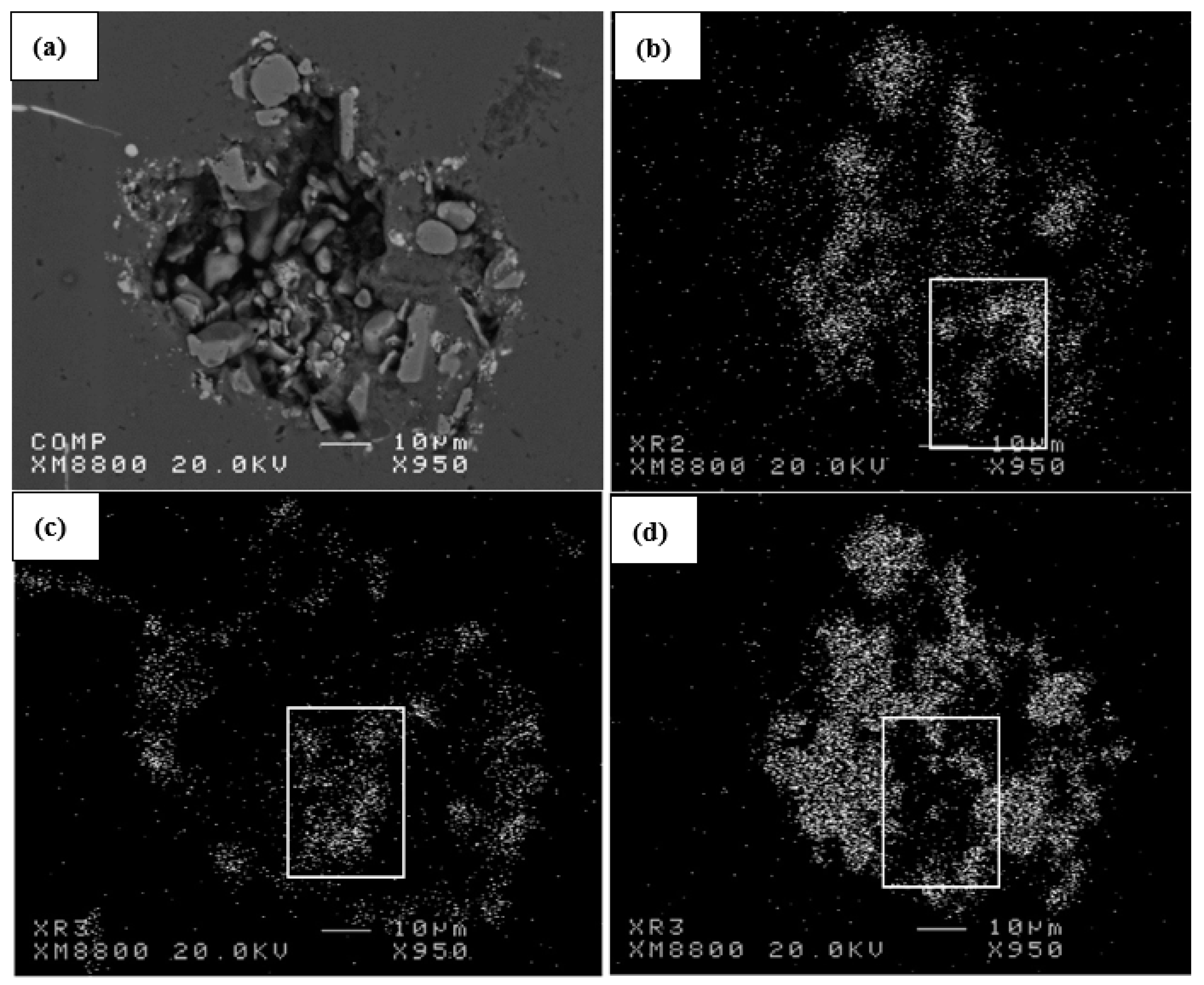 Metals 14 00271 g006