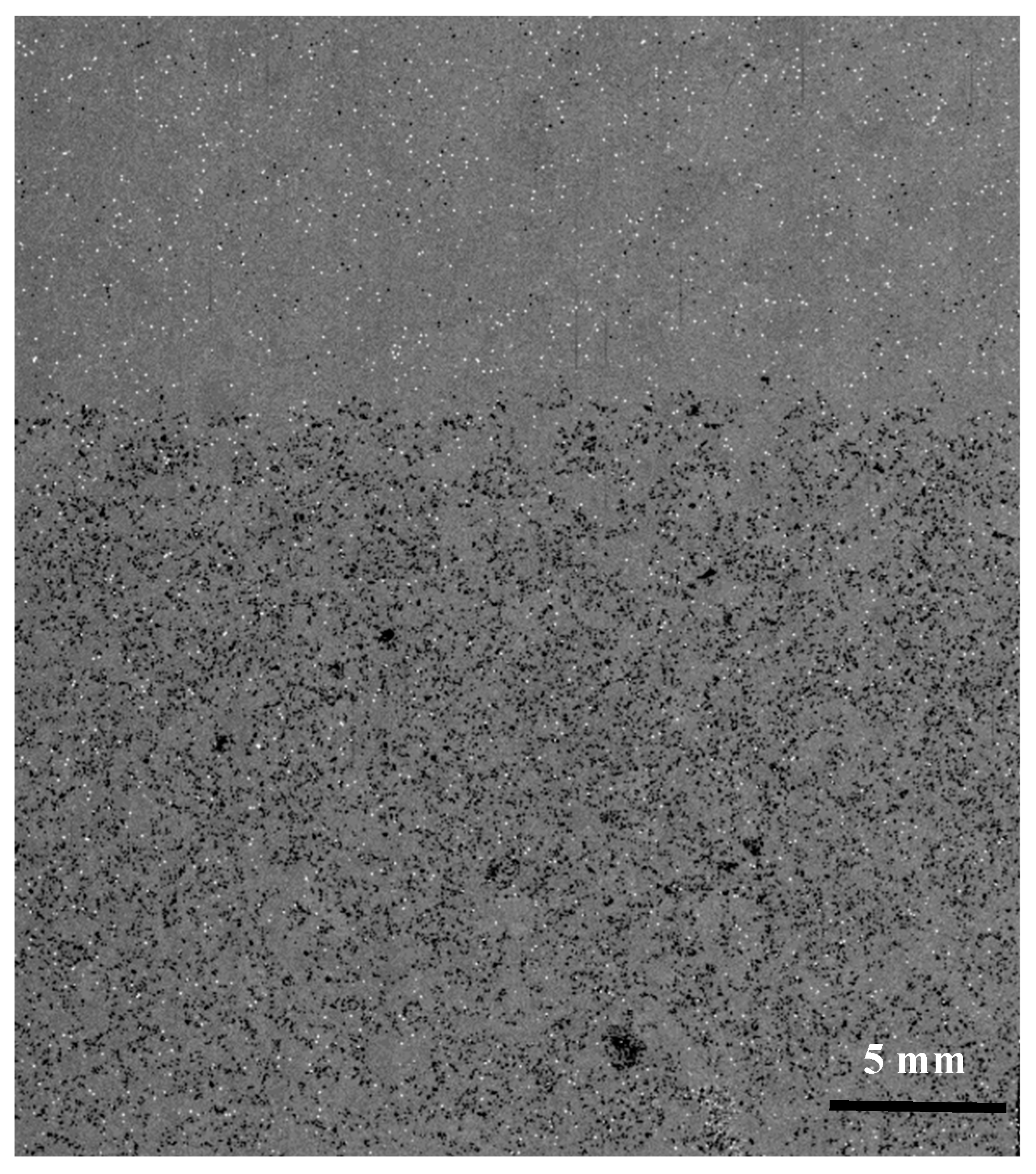 Metals 14 00271 g024