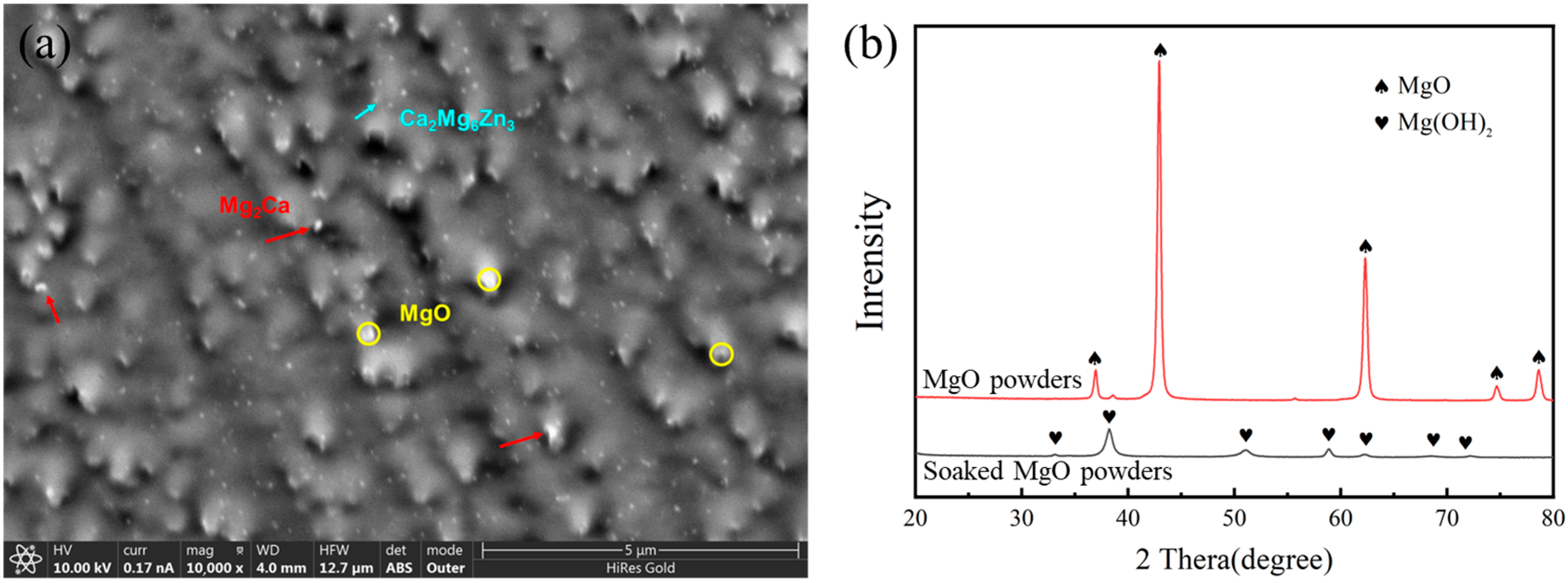 Metals 14 00274 g006