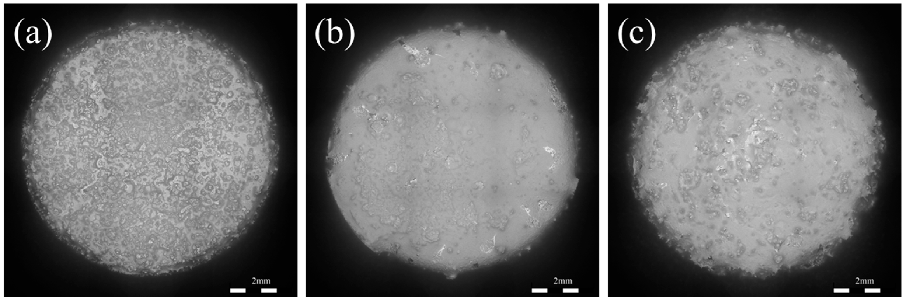 Metals 14 00274 g012