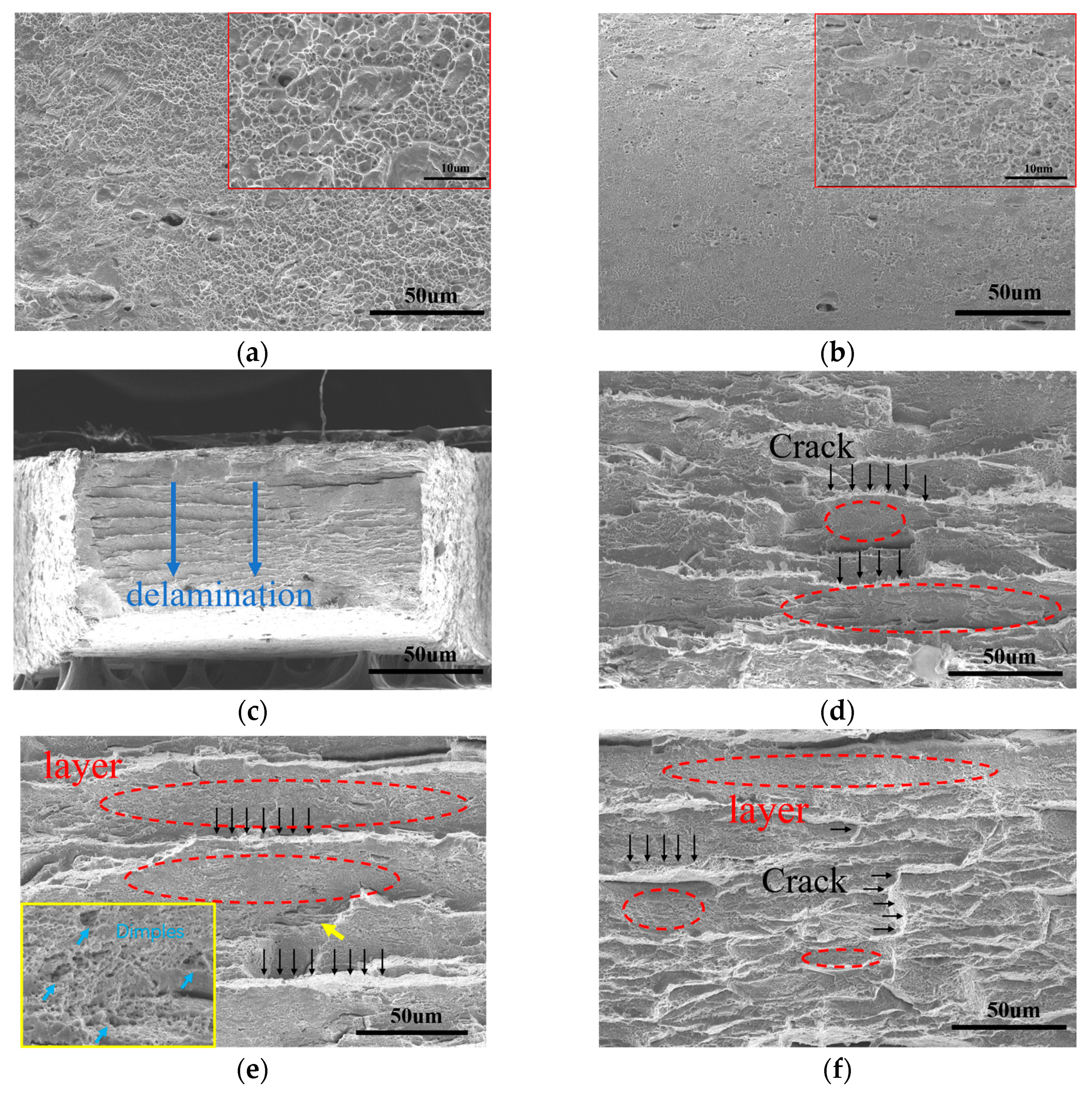 Metals 14 00285 g002