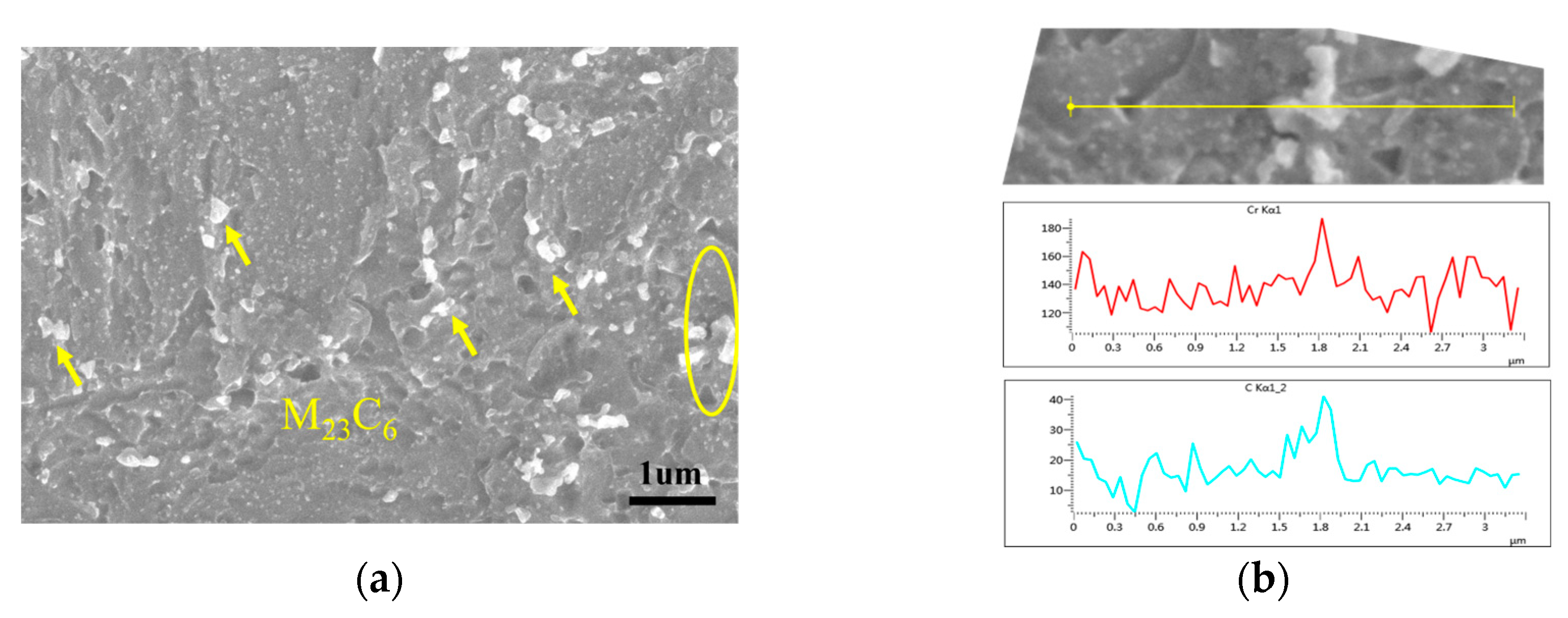 Metals 14 00285 g007a