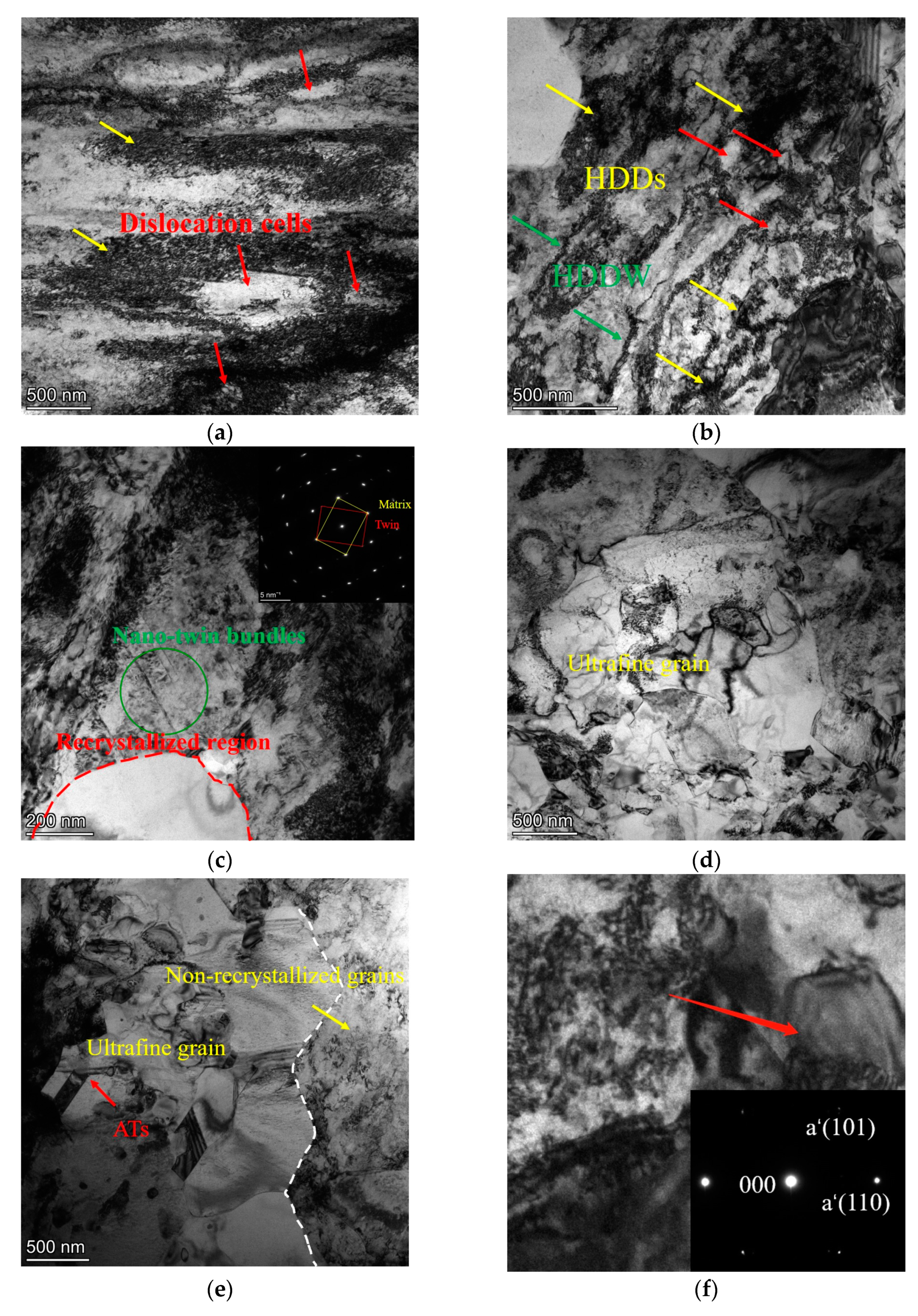 Metals 14 00285 g008