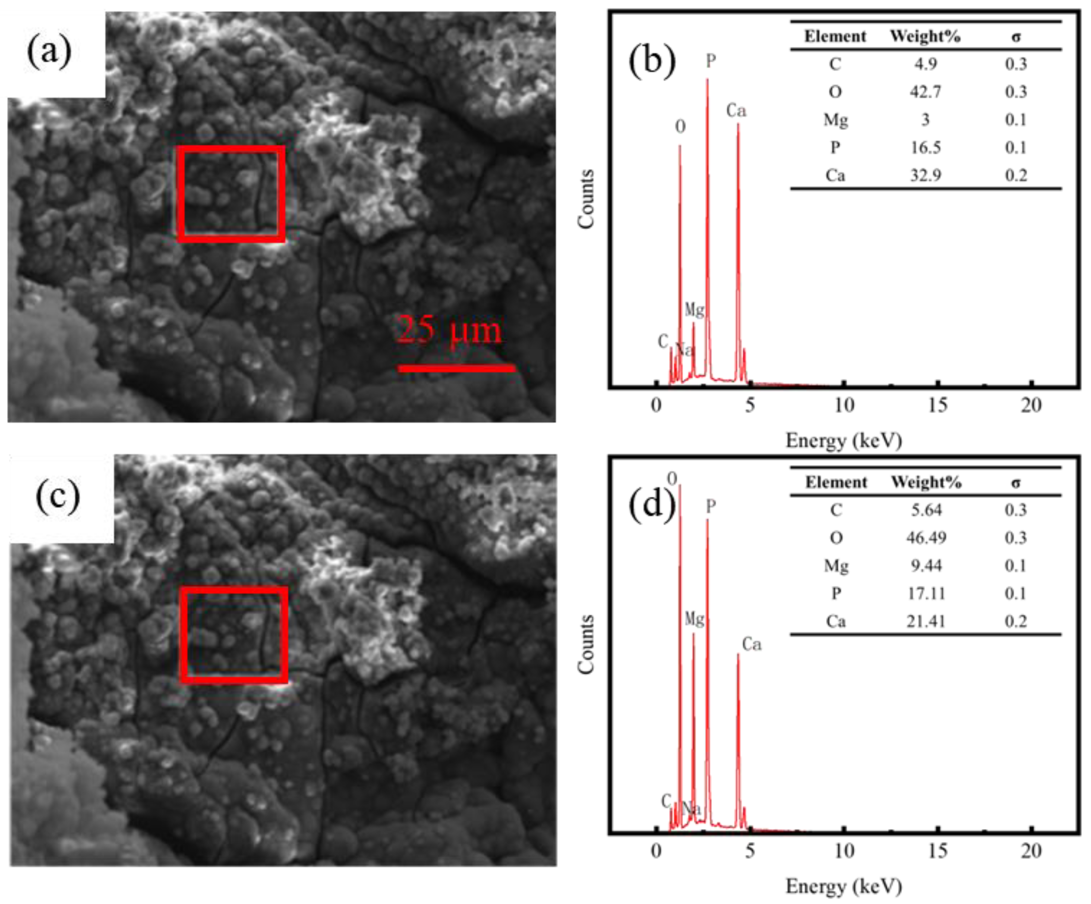 Metals 14 00288 g006