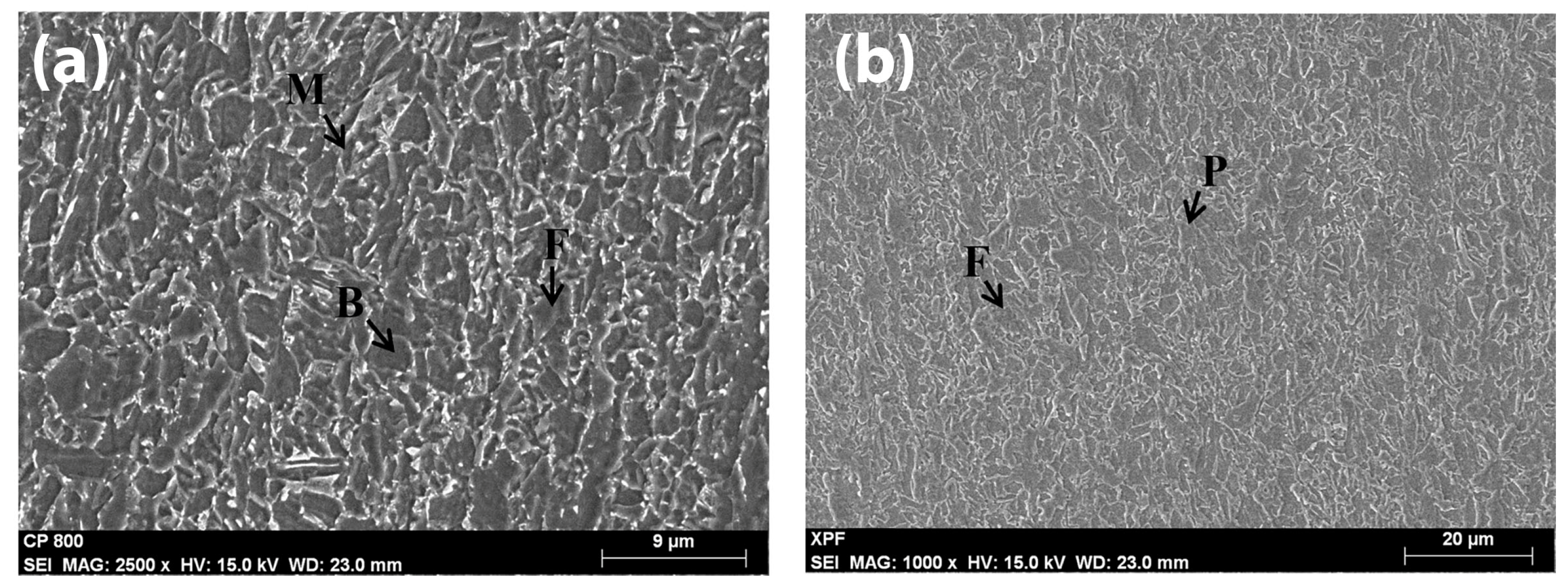 Metals 14 00309 g003