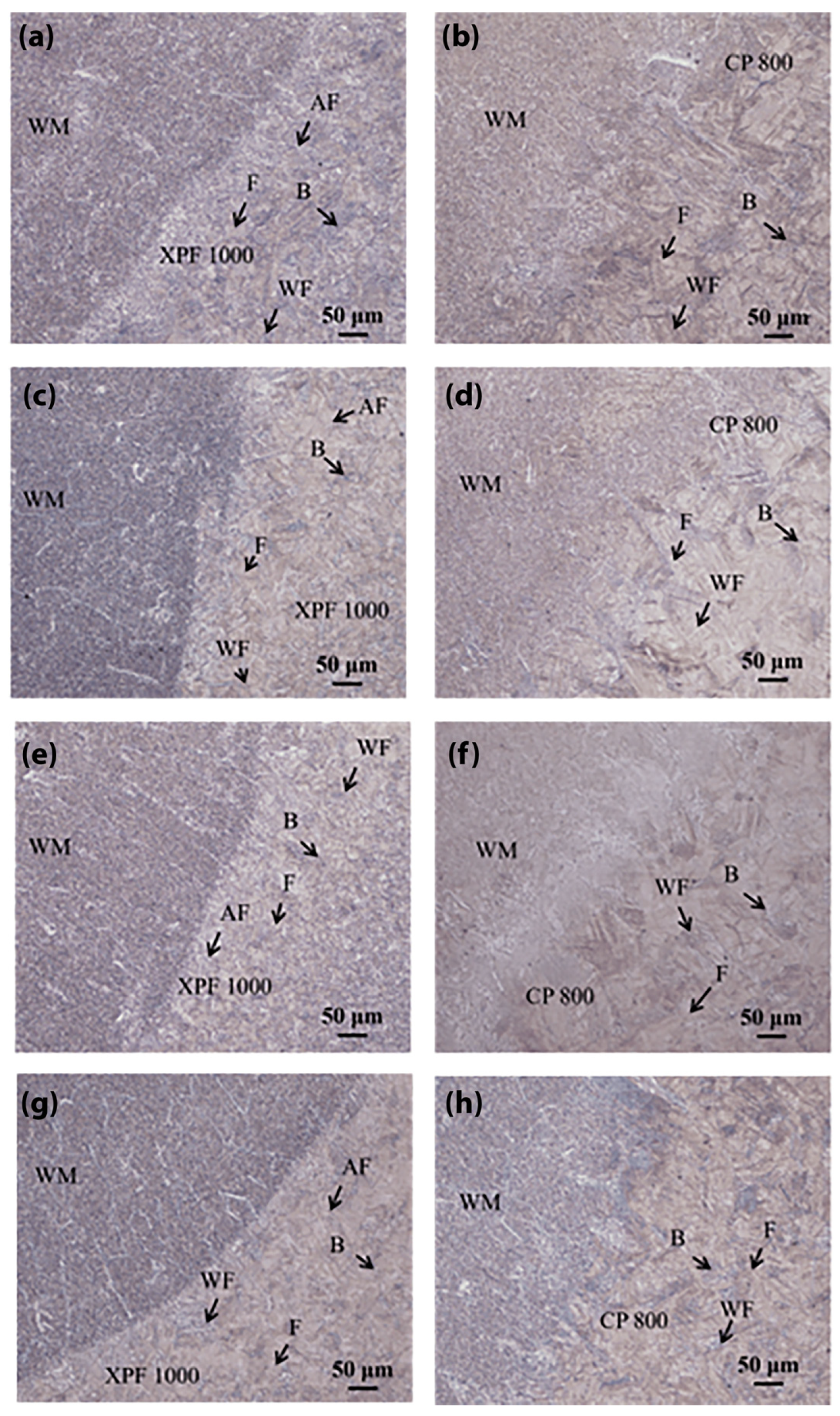 Metals 14 00309 g007