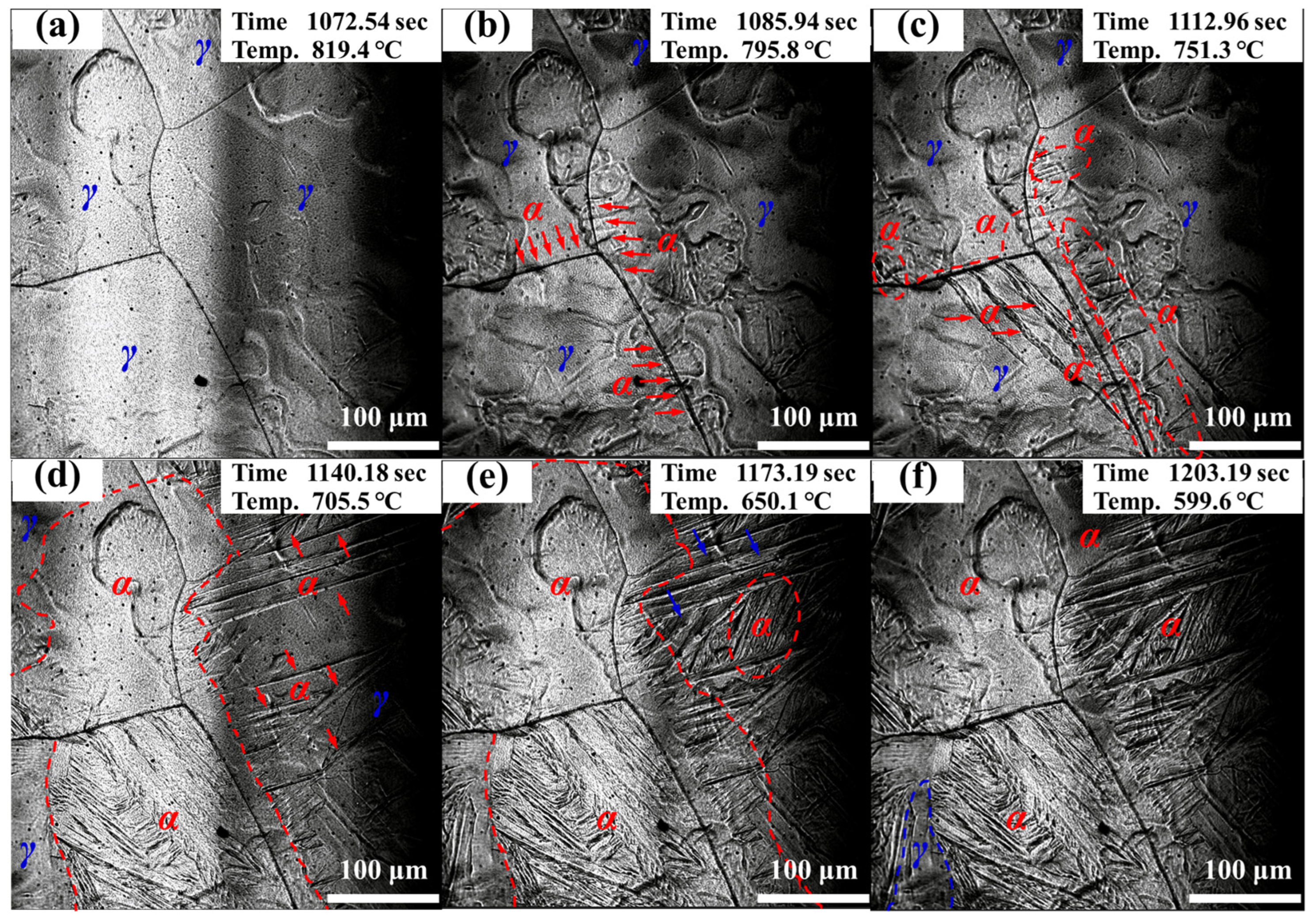 Metals 14 00350 g003 Metals 14 00350 g003