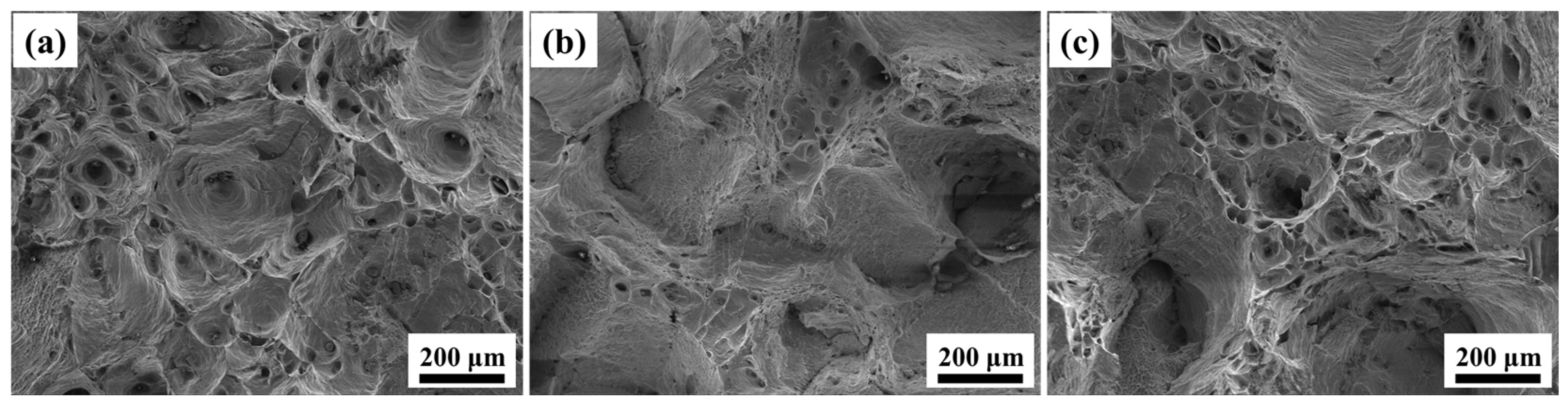 Metals 14 00350 g009 Metals 14 00350 g009