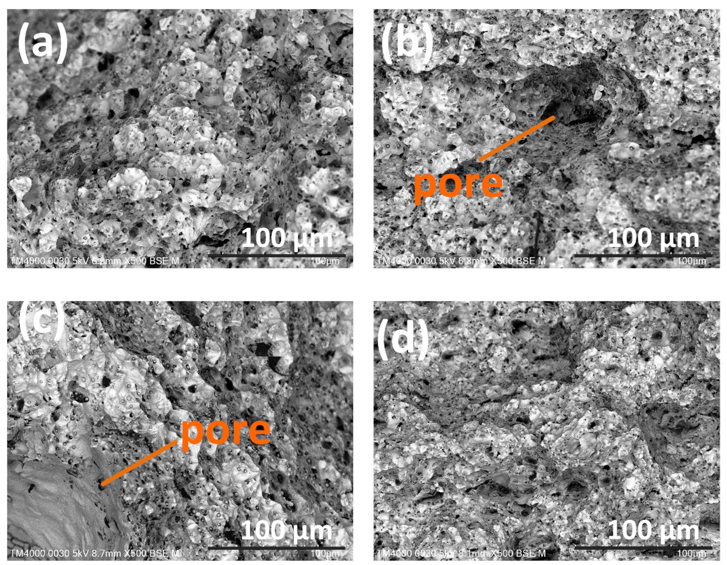 Metals 14 00356 g005