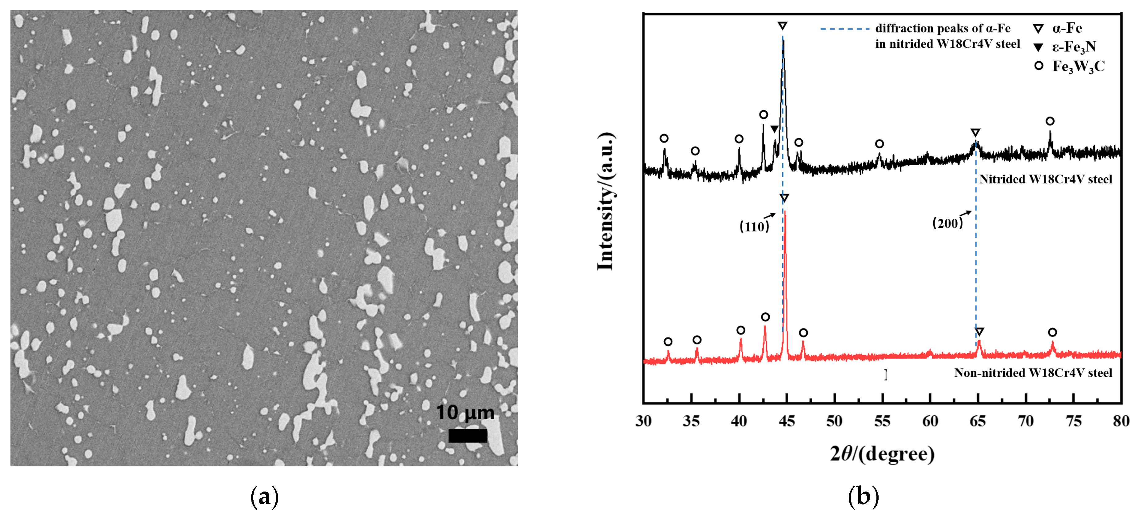Metals 14 00357 g001 Metals 14 00357 g001