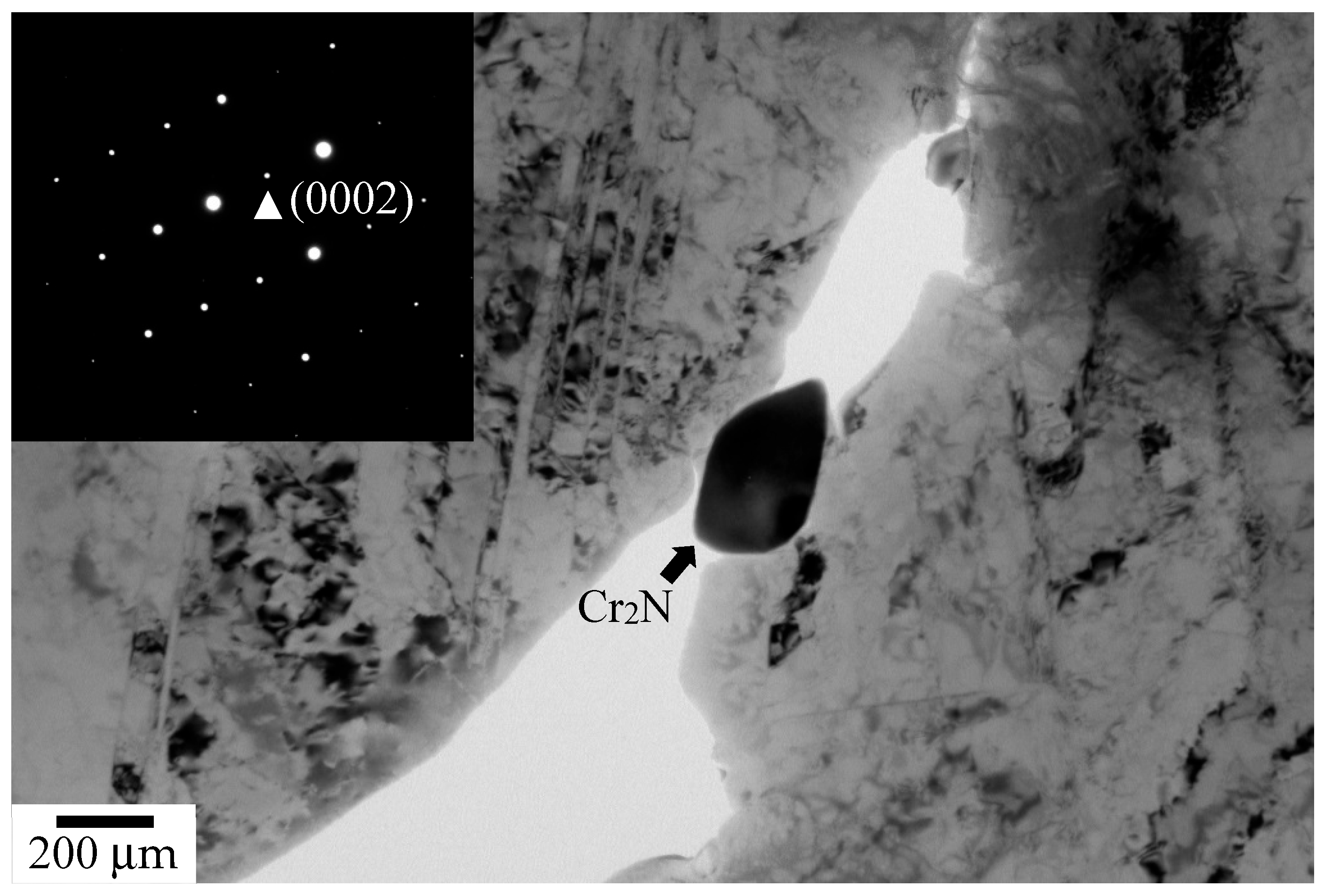 Metals 14 00389 g005