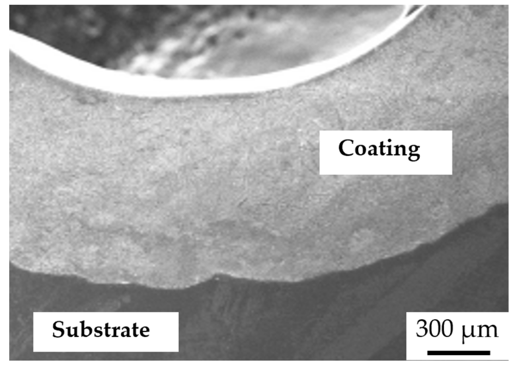 Metals 14 00403 g005