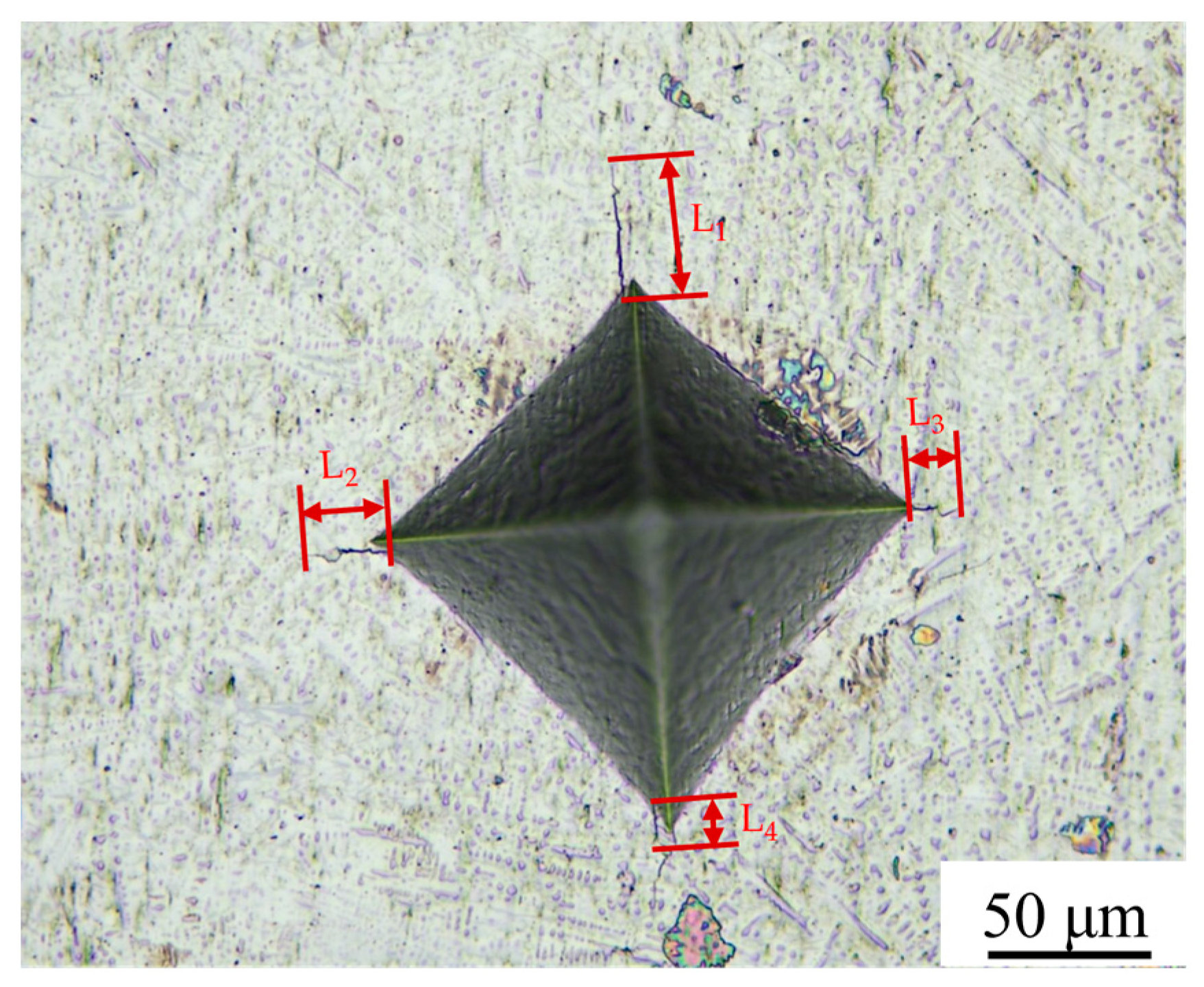 Metals 14 00403 g010