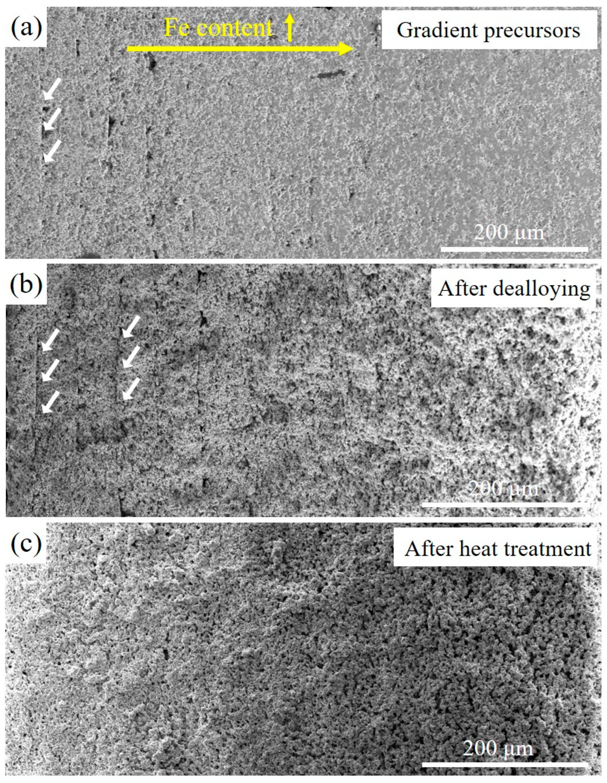 Metals 14 00427 g007