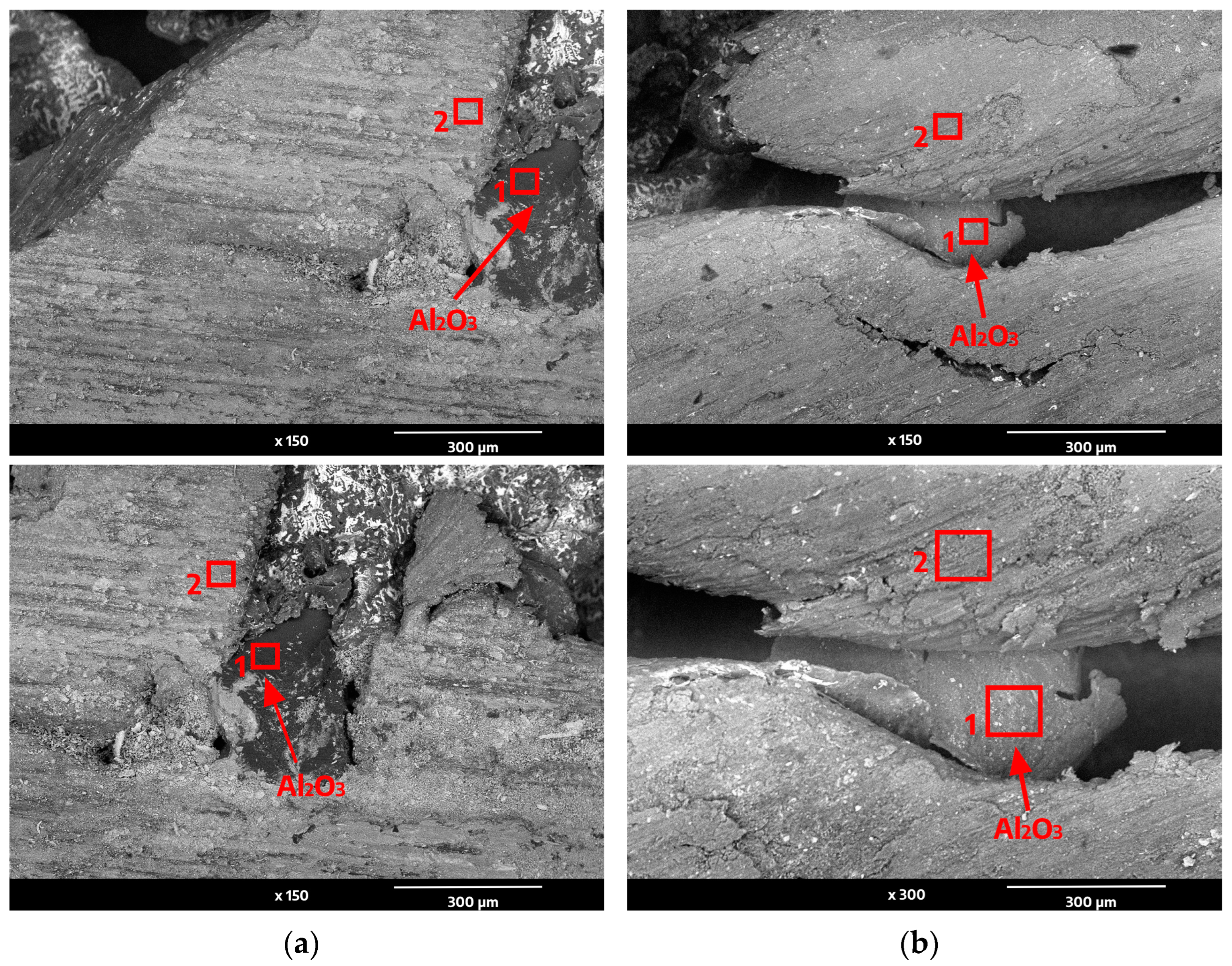 Metals 14 00428 g003