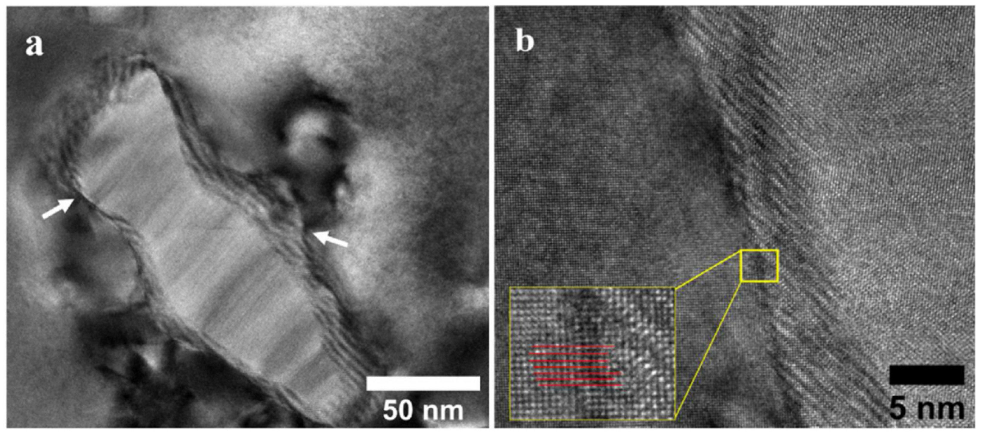 Metals 14 00437 g016