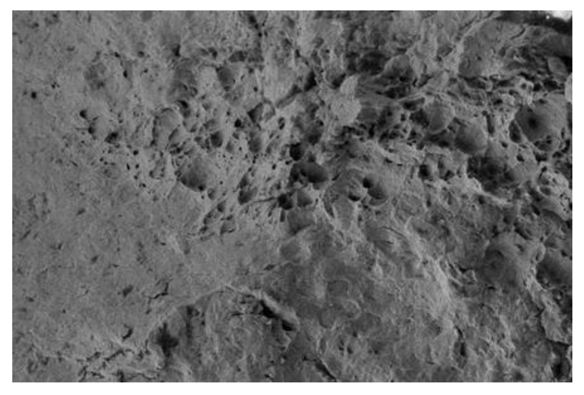 Metals 14 00441 g011