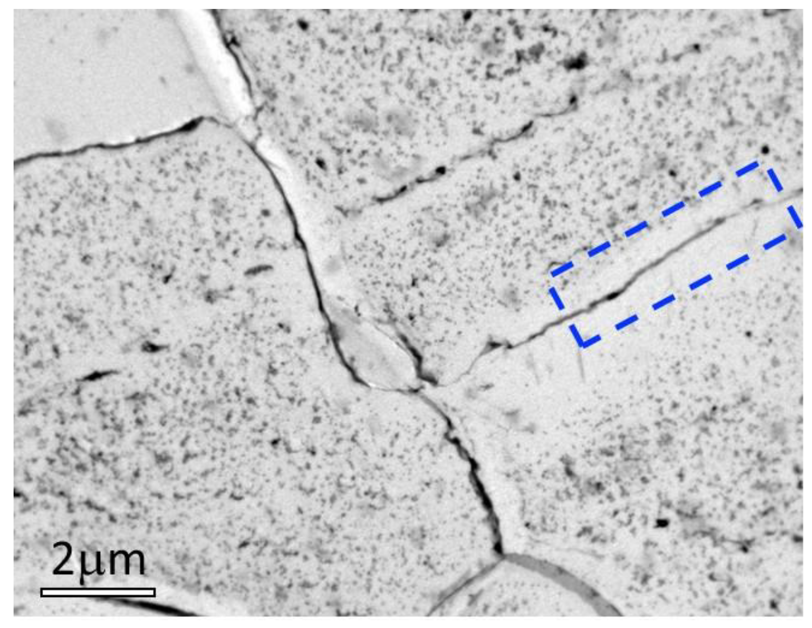 Metals 14 00442 g007