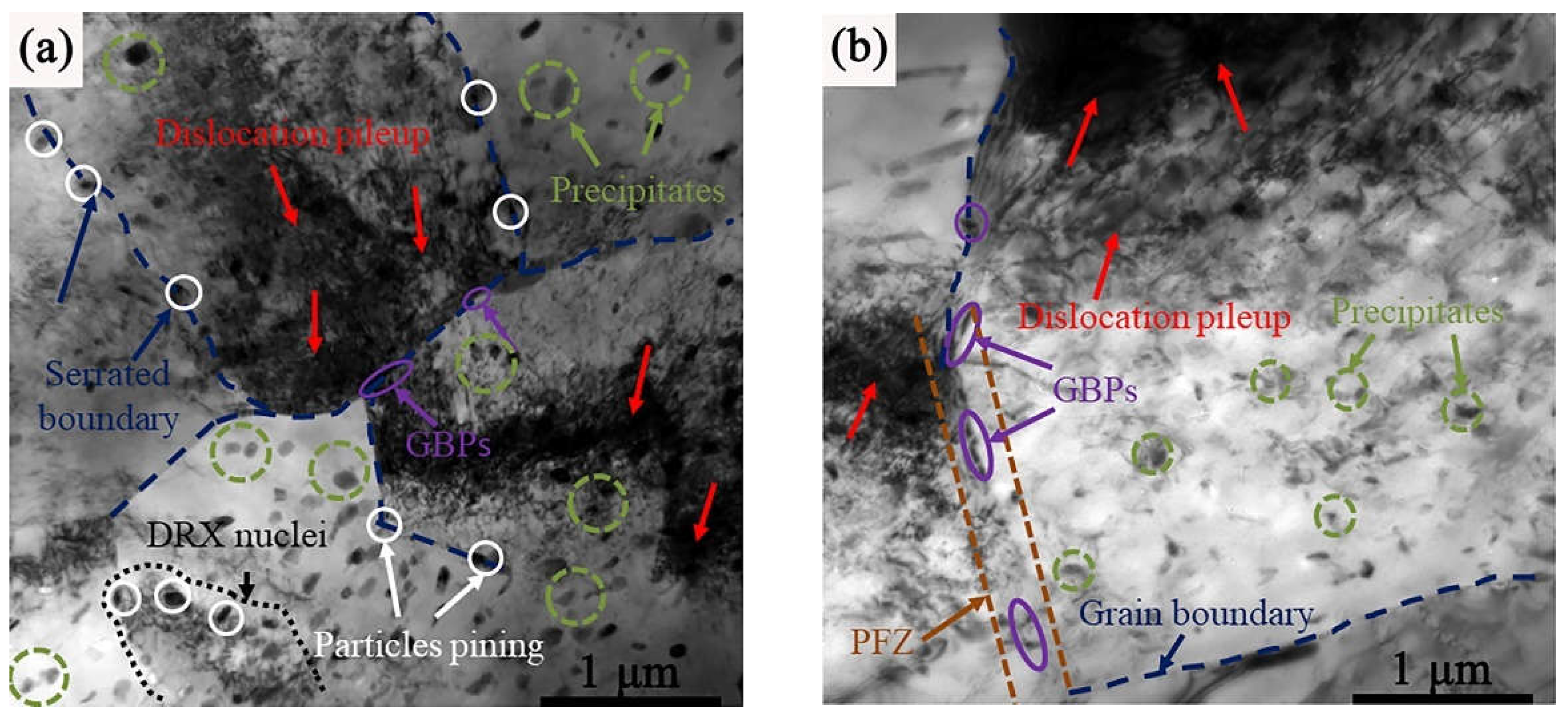 Metals 14 00449 g016
